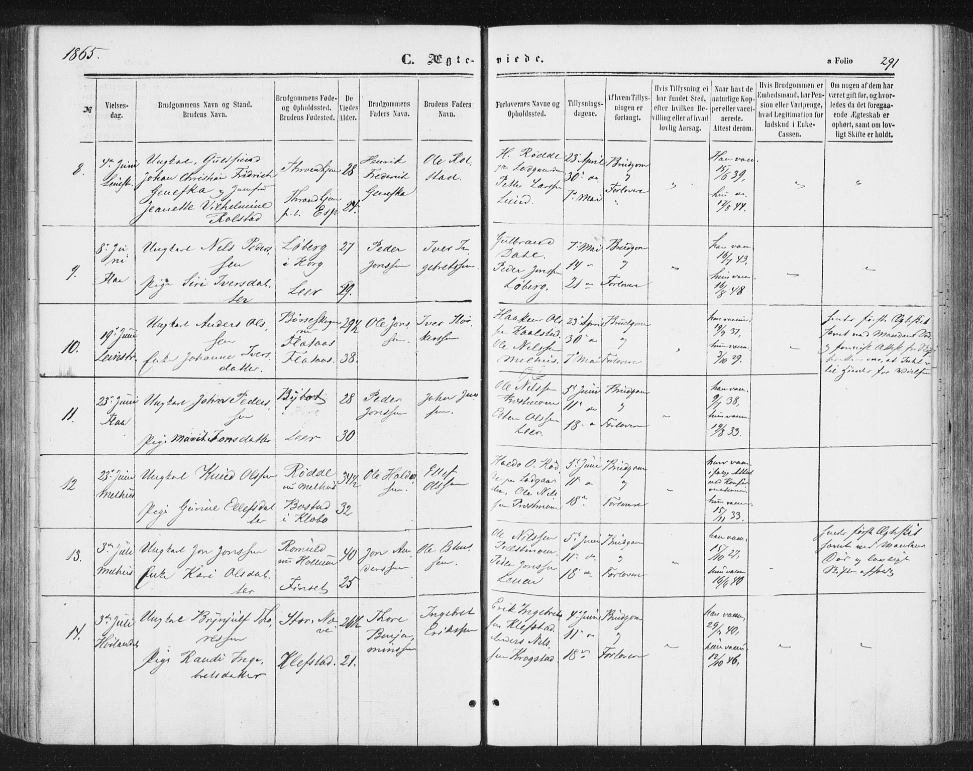 Ministerialprotokoller, klokkerbøker og fødselsregistre - Sør-Trøndelag, SAT/A-1456/691/L1077: Ministerialbok nr. 691A09, 1862-1873, s. 291