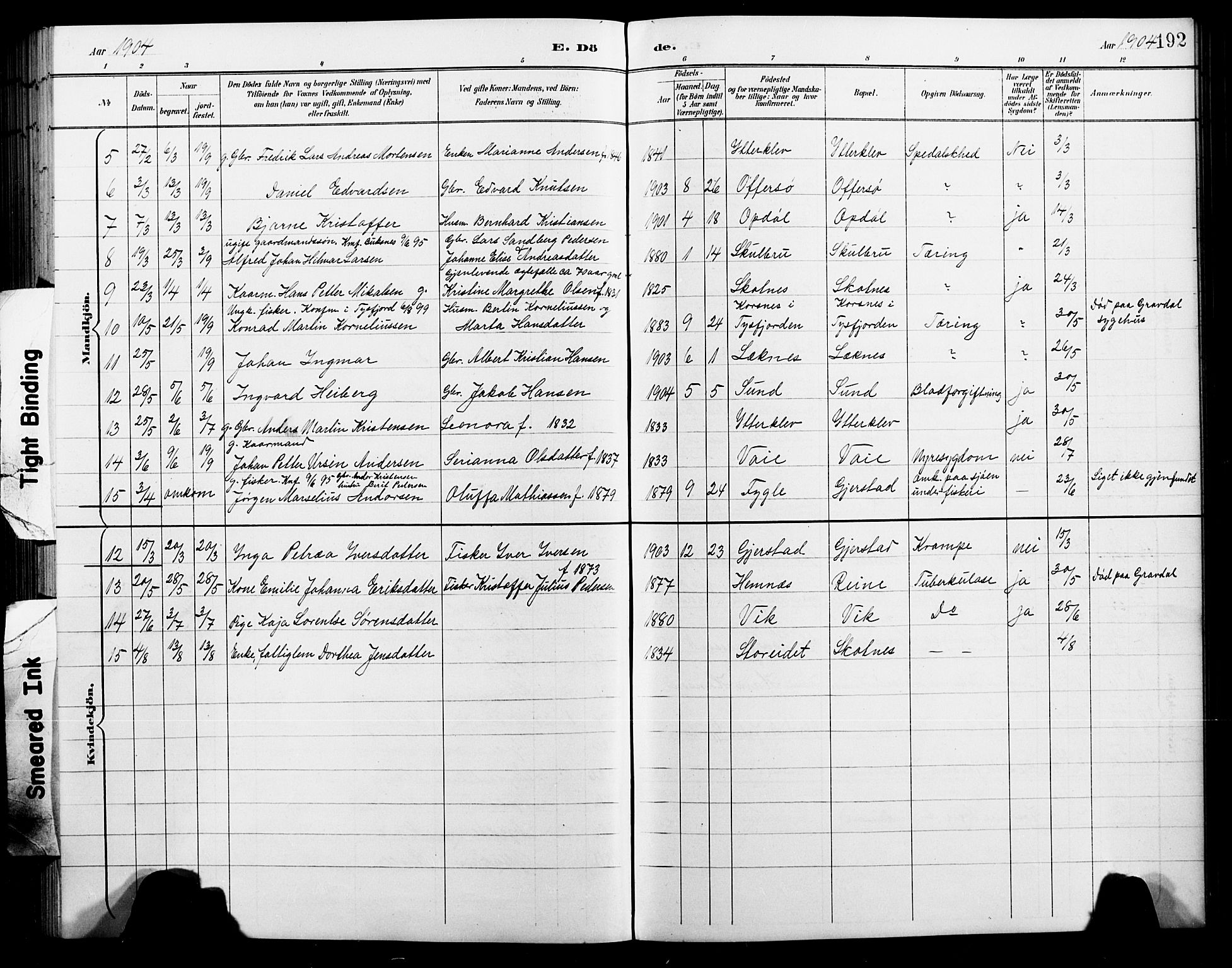 Ministerialprotokoller, klokkerbøker og fødselsregistre - Nordland, SAT/A-1459/881/L1168: Klokkerbok nr. 881C05, 1900-1911, s. 192