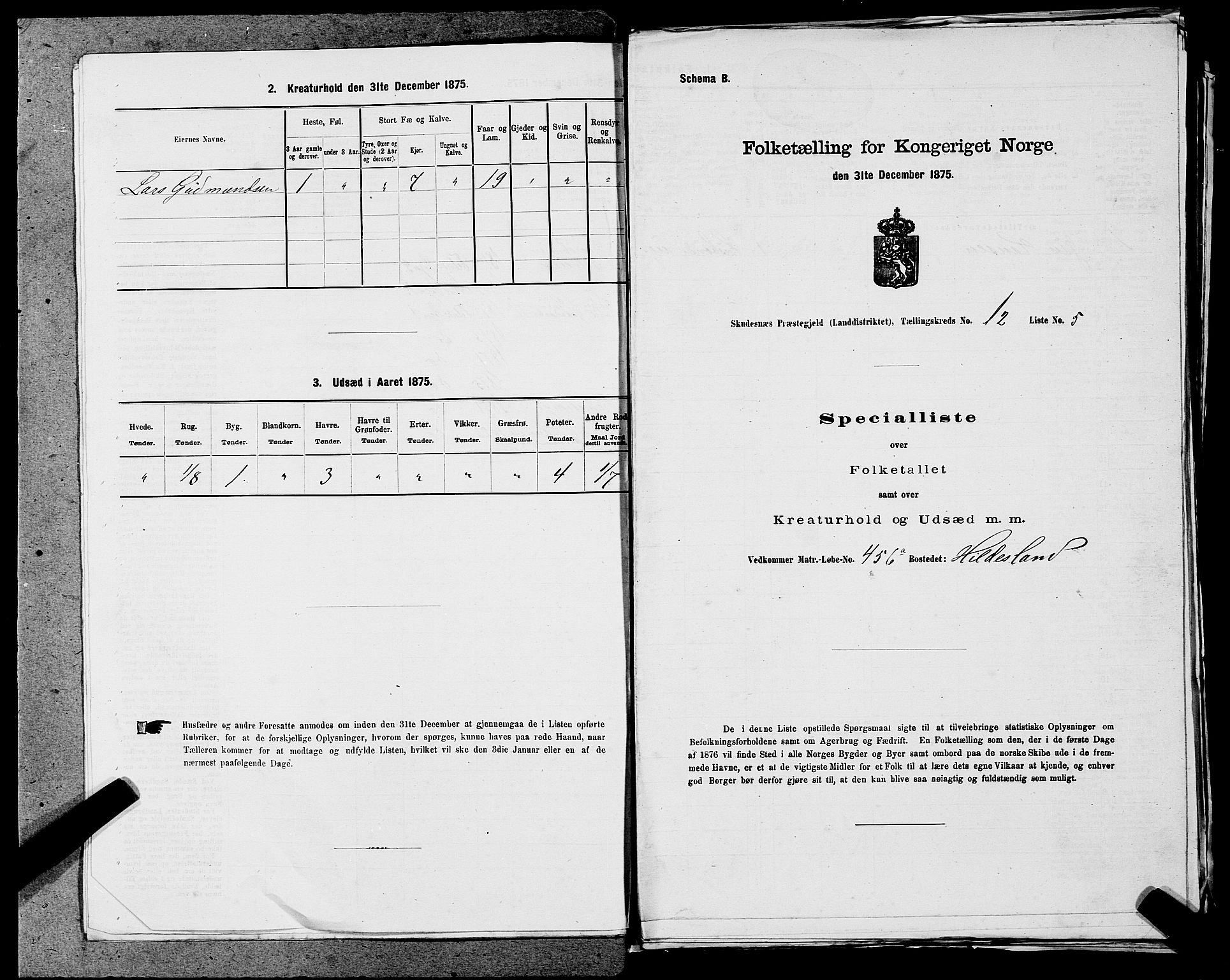 SAST, Folketelling 1875 for 1150L Skudenes prestegjeld, Falnes sokn, Åkra sokn og Ferkingstad sokn, 1875, s. 1647