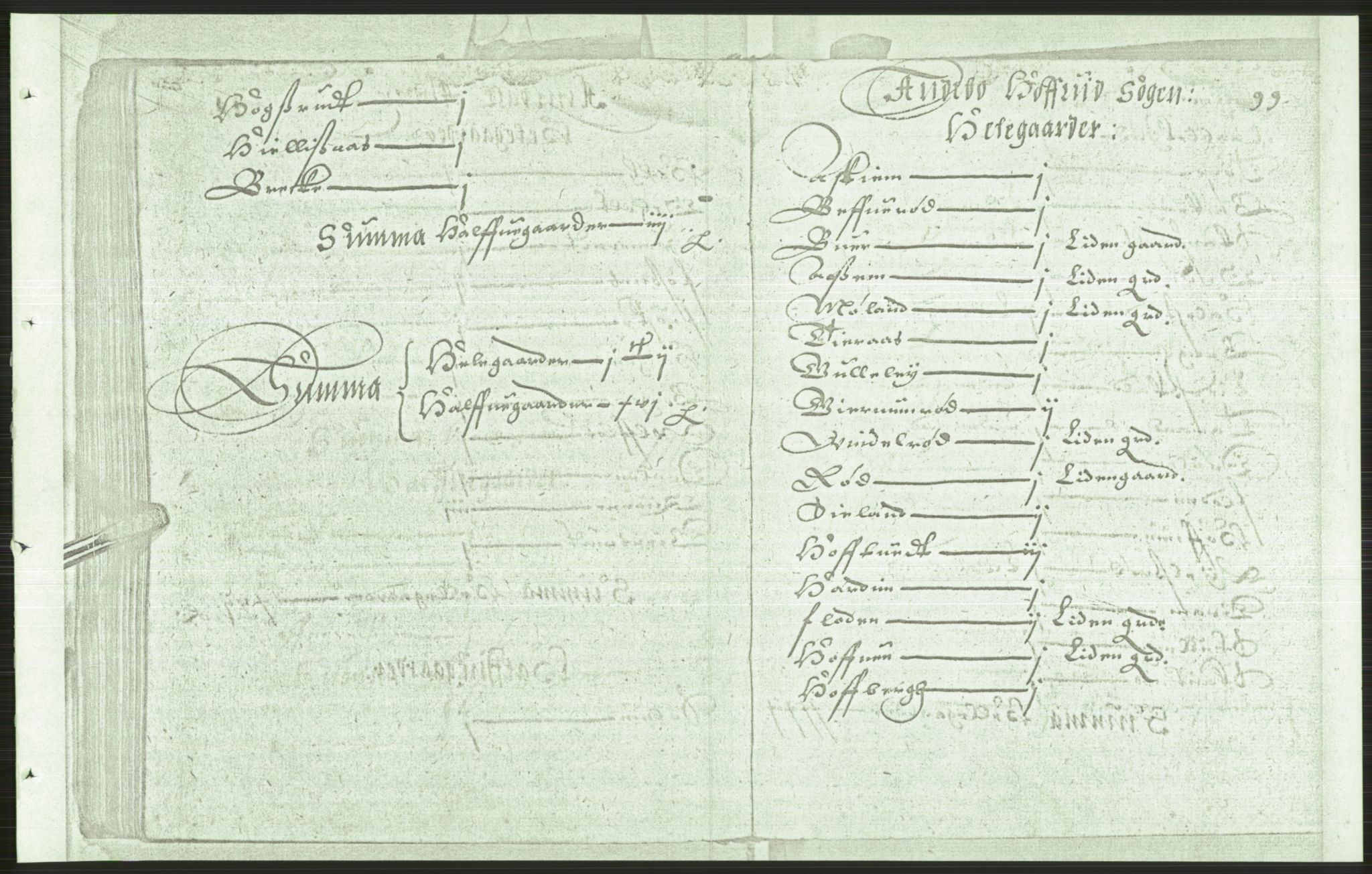 Manuskriptsamlingen, AV/RA-EA-3667/F/L0175b: Kopi av Universitetsbiblioteket, manuskript kvarto nr. 503, Manntall på fulle og halve og ødegårder uti Oslo og Hamar stift anno 1602, II Tønsberg, Brunla, Numedal, Nedre Telemark, 1602, s. 98b-99a