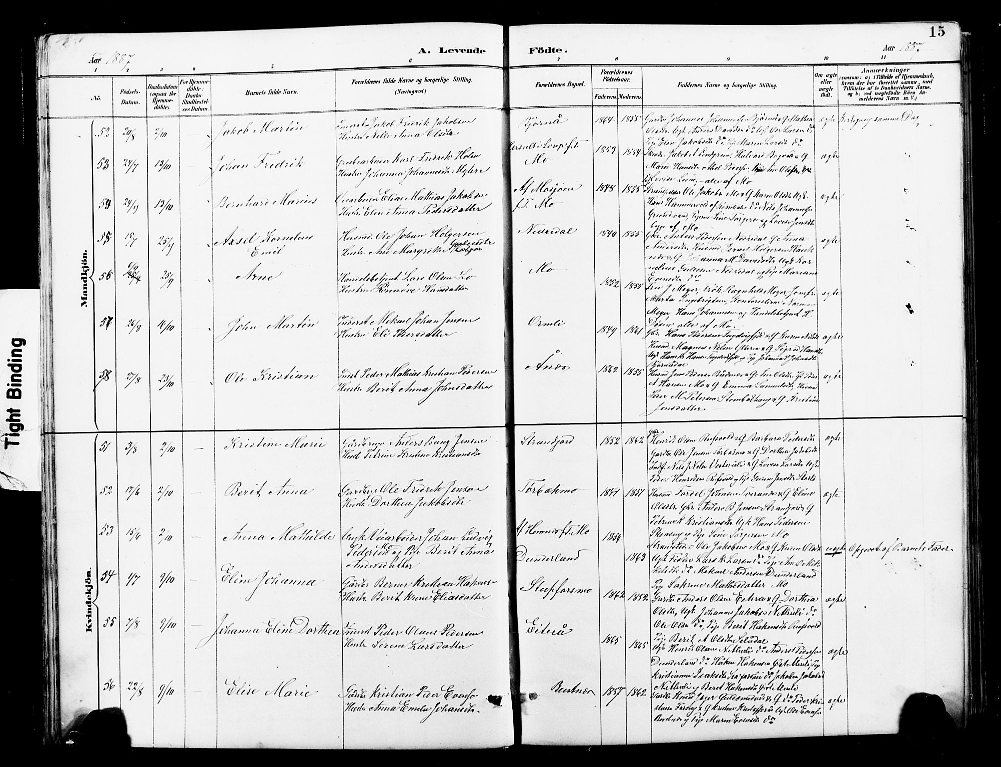 Ministerialprotokoller, klokkerbøker og fødselsregistre - Nordland, AV/SAT-A-1459/827/L0421: Klokkerbok nr. 827C10, 1887-1906, s. 15
