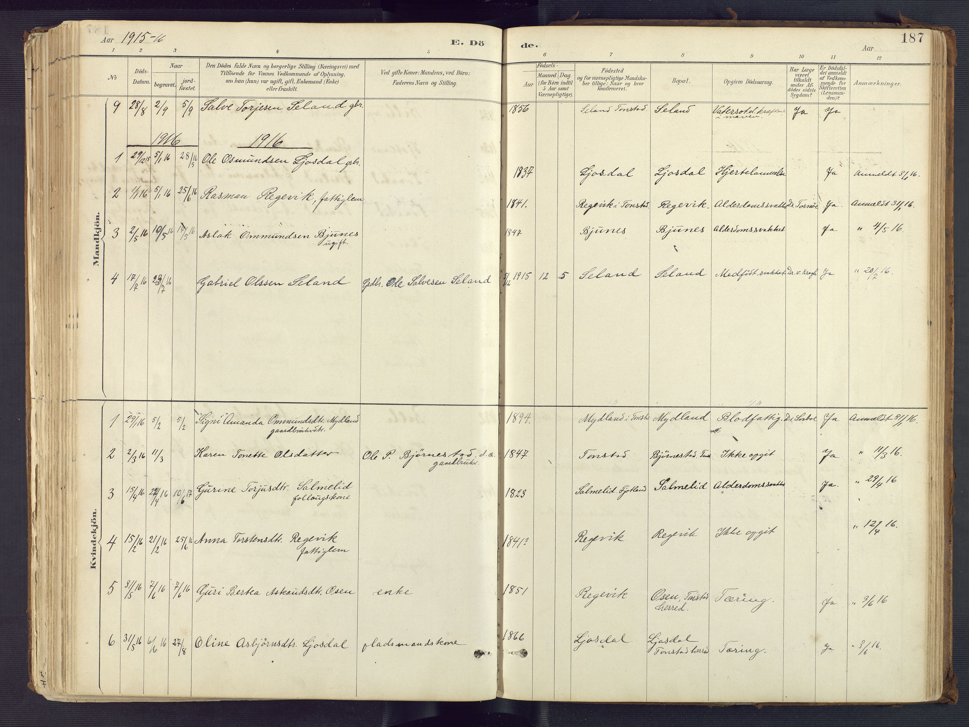 Sirdal sokneprestkontor, SAK/1111-0036/F/Fa/Fab/L0004: Ministerialbok nr. A 4, 1887-1919, s. 187
