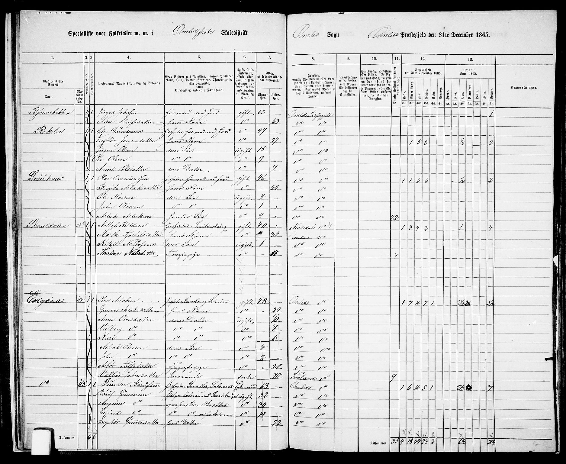 RA, Folketelling 1865 for 0929P Åmli prestegjeld, 1865, s. 21