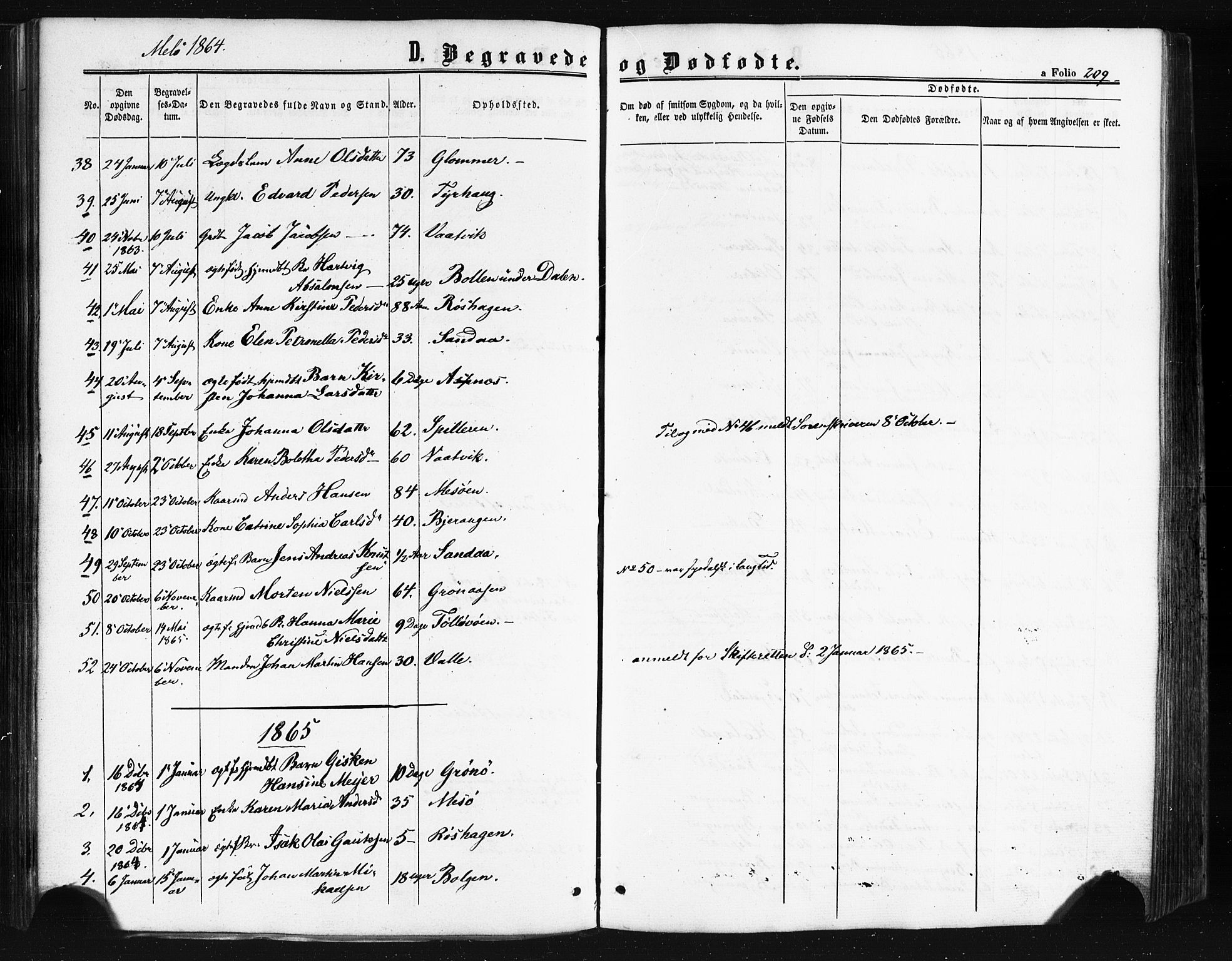 Ministerialprotokoller, klokkerbøker og fødselsregistre - Nordland, AV/SAT-A-1459/841/L0607: Ministerialbok nr. 841A11 /2, 1863-1877, s. 209