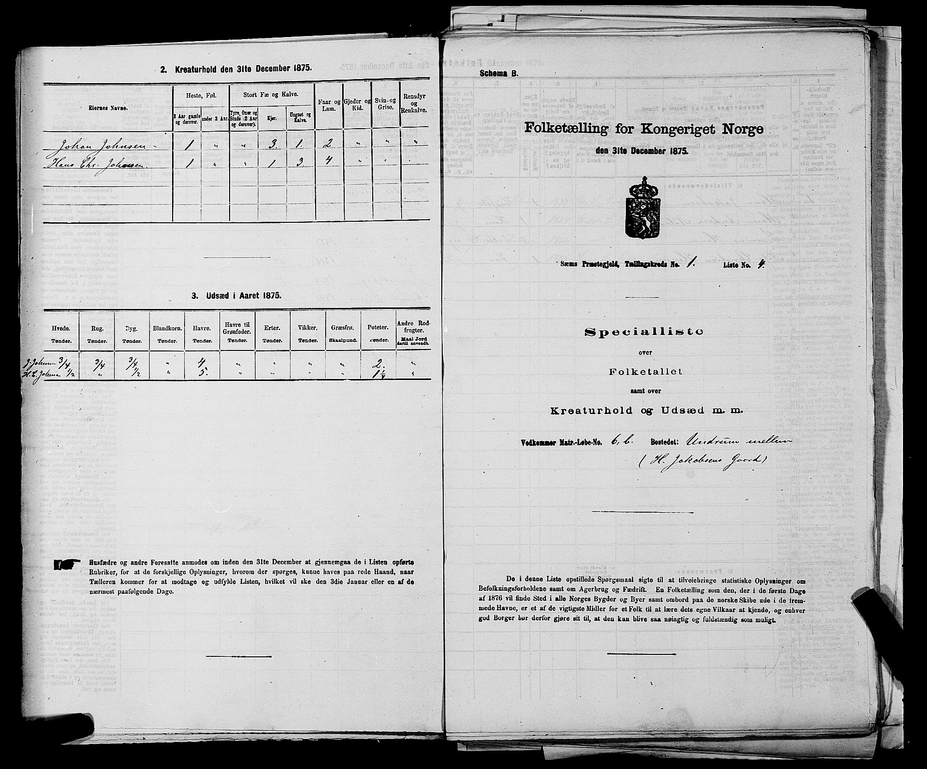 SAKO, Folketelling 1875 for 0721P Sem prestegjeld, 1875, s. 85