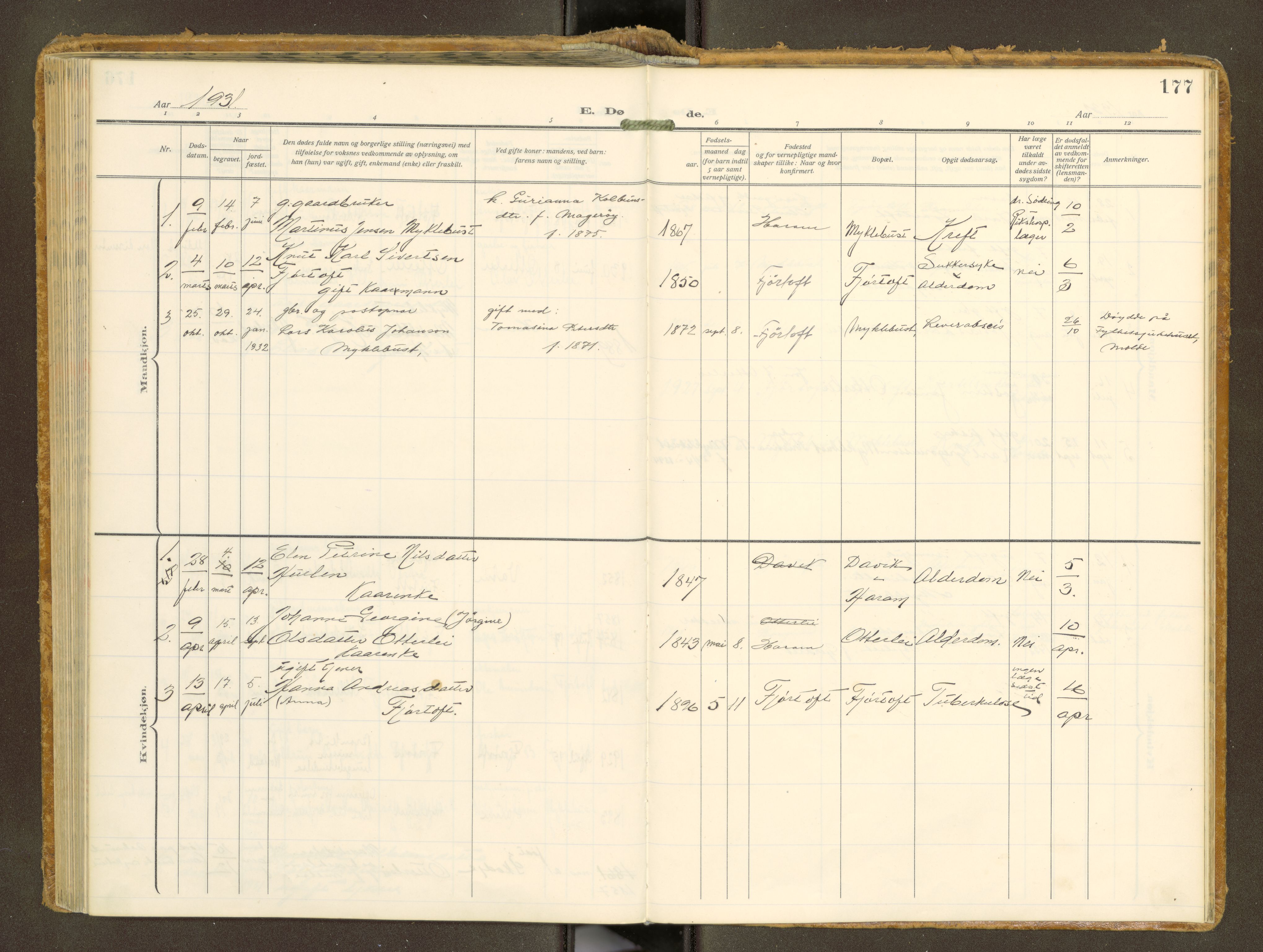 Ministerialprotokoller, klokkerbøker og fødselsregistre - Møre og Romsdal, AV/SAT-A-1454/538/L0528: Ministerialbok nr. 538A--, 1911-1935, s. 177