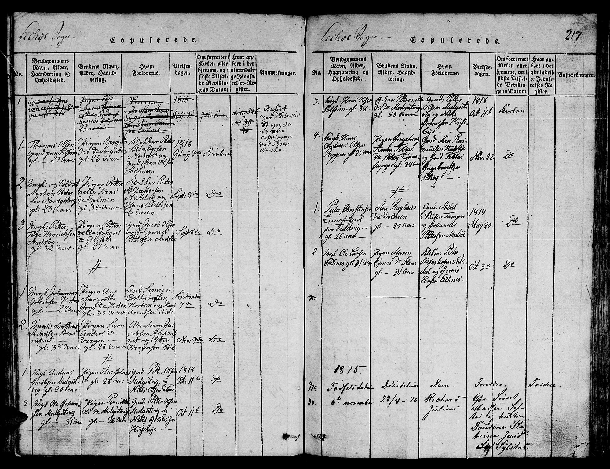 Ministerialprotokoller, klokkerbøker og fødselsregistre - Nord-Trøndelag, SAT/A-1458/780/L0648: Klokkerbok nr. 780C01 /3, 1815-1877, s. 217