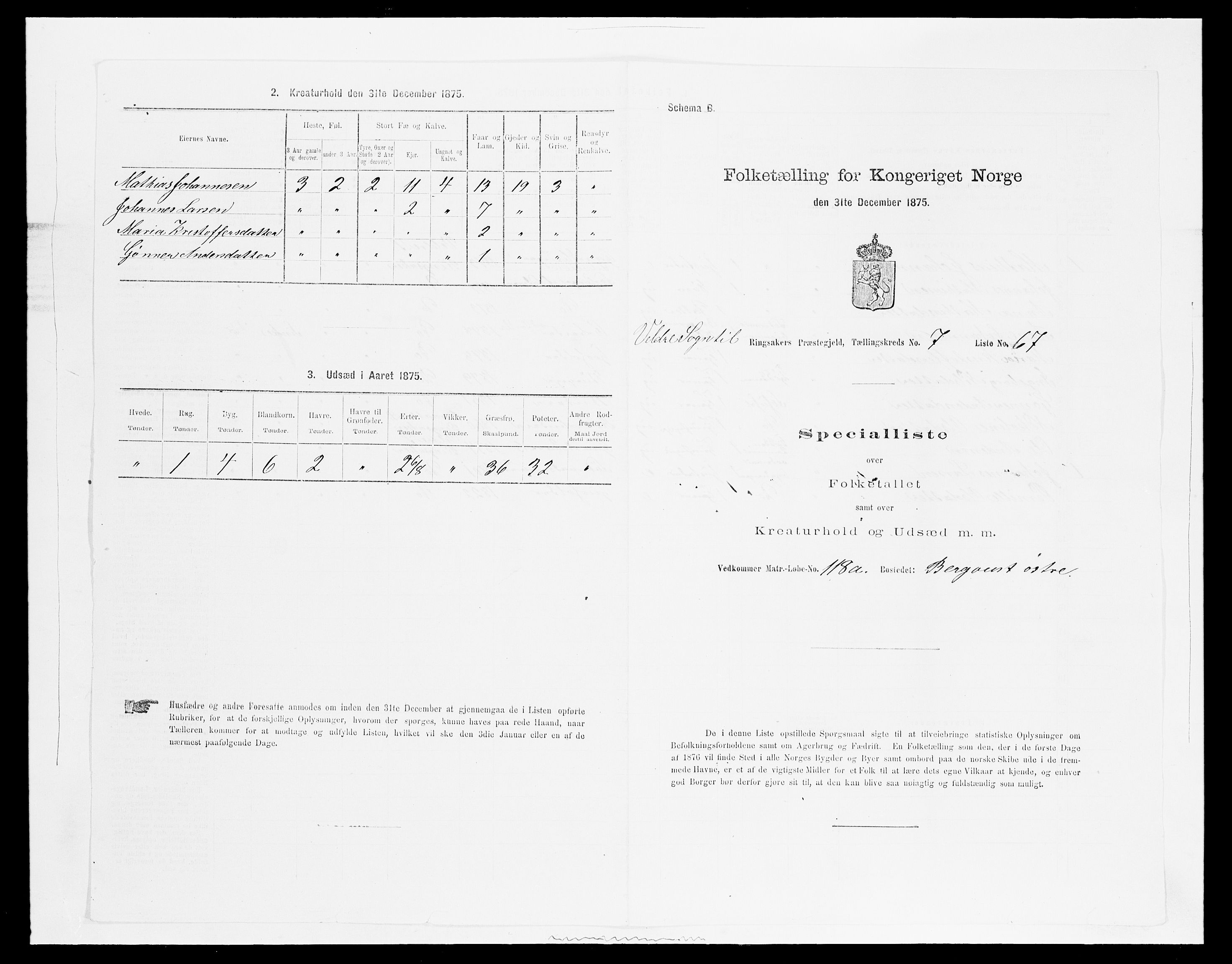 SAH, Folketelling 1875 for 0412P Ringsaker prestegjeld, 1875, s. 1539