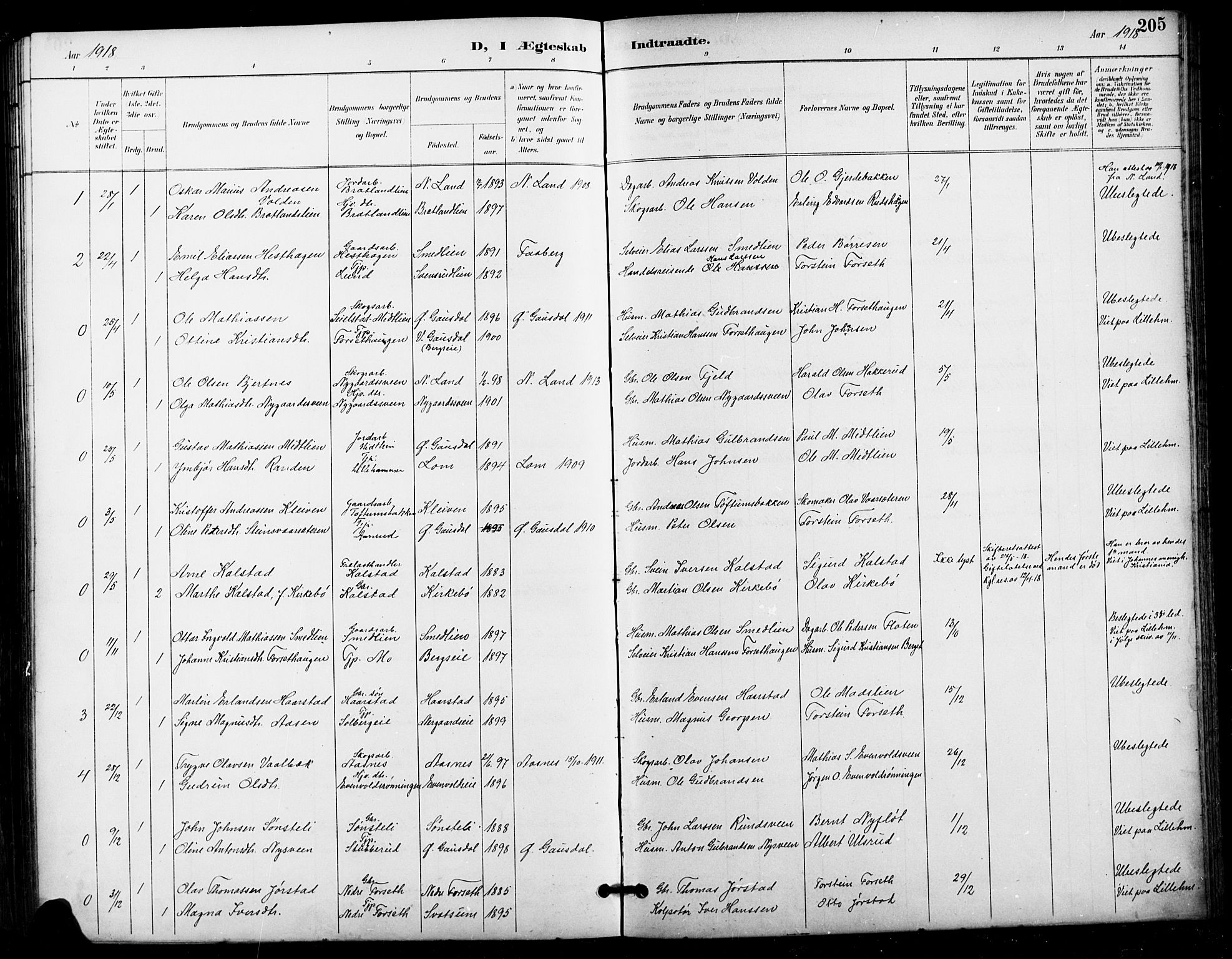 Vestre Gausdal prestekontor, AV/SAH-PREST-094/H/Ha/Hab/L0003: Klokkerbok nr. 3, 1896-1925, s. 205