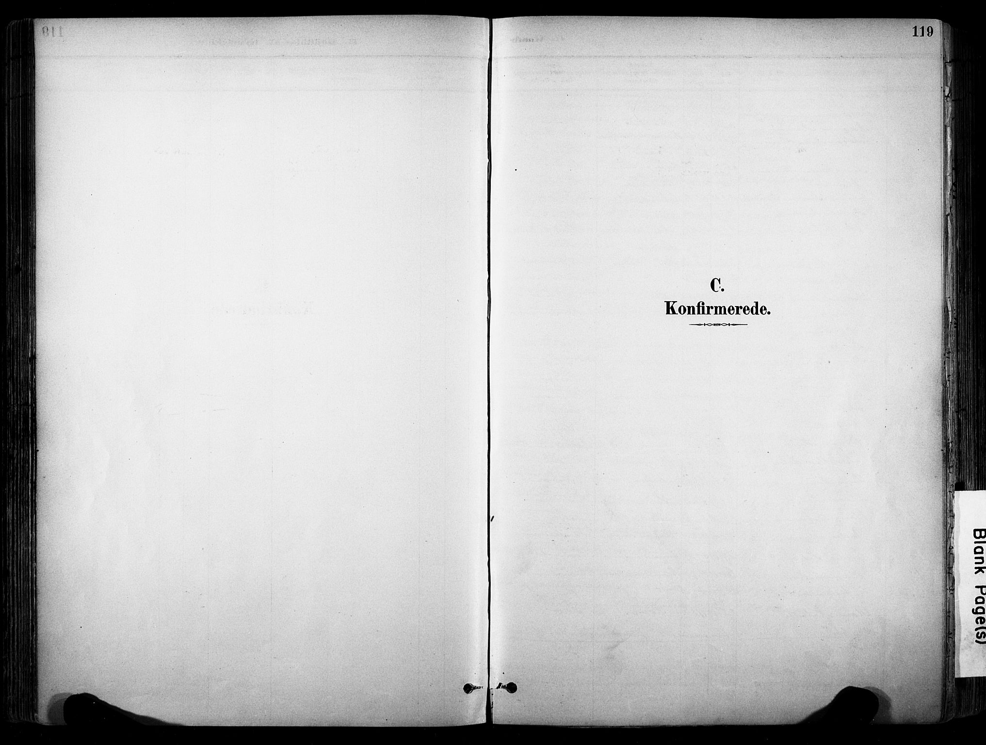Stokke kirkebøker, SAKO/A-320/F/Fa/L0010: Ministerialbok nr. I 10, 1884-1903, s. 119