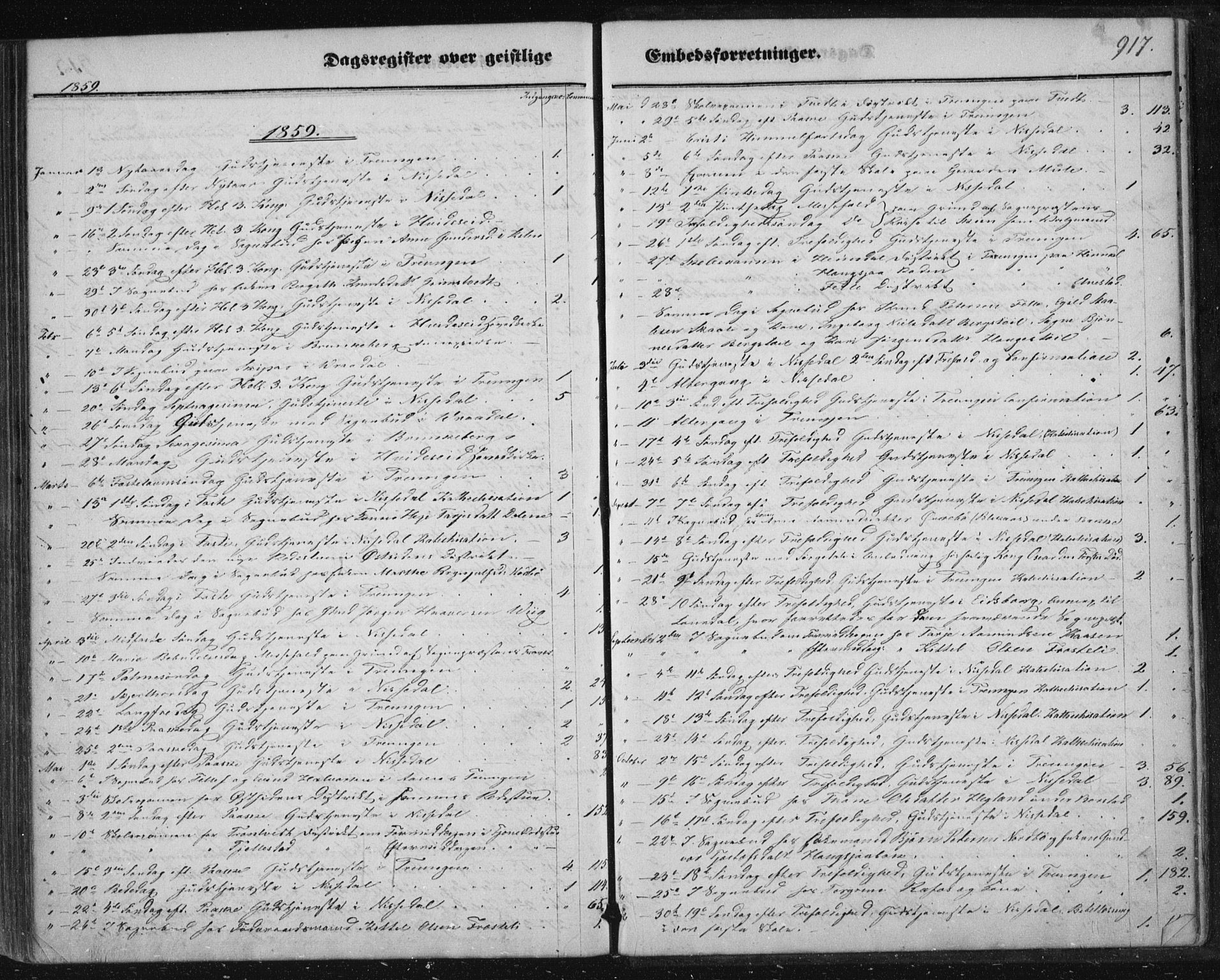 Nissedal kirkebøker, SAKO/A-288/F/Fa/L0003: Ministerialbok nr. I 3, 1846-1870, s. 916-917