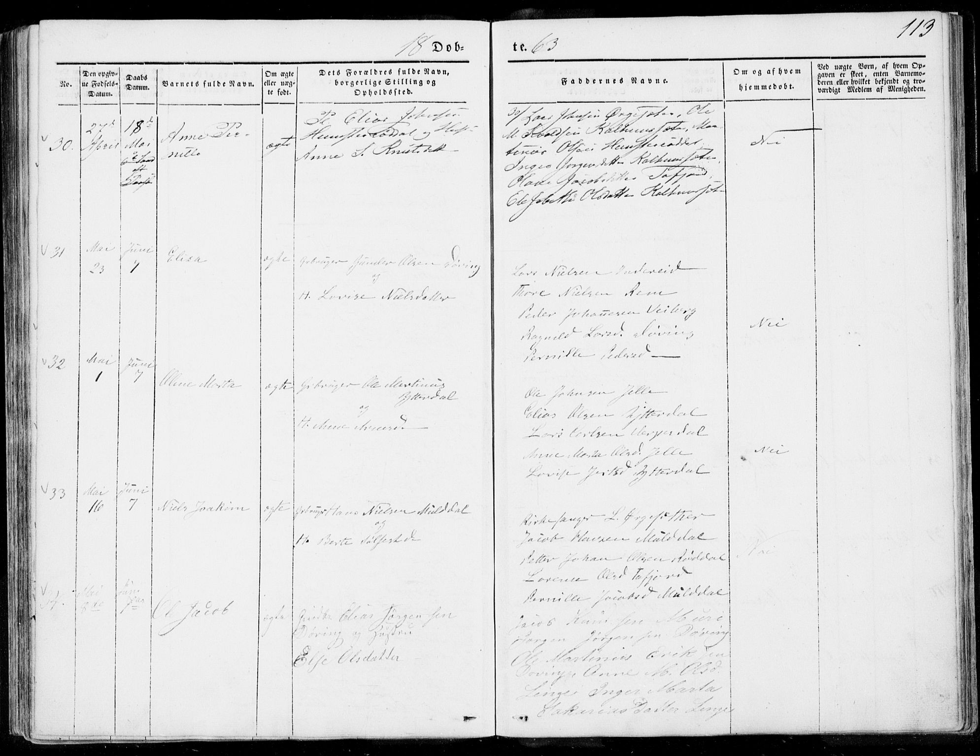 Ministerialprotokoller, klokkerbøker og fødselsregistre - Møre og Romsdal, AV/SAT-A-1454/519/L0249: Ministerialbok nr. 519A08, 1846-1868, s. 113