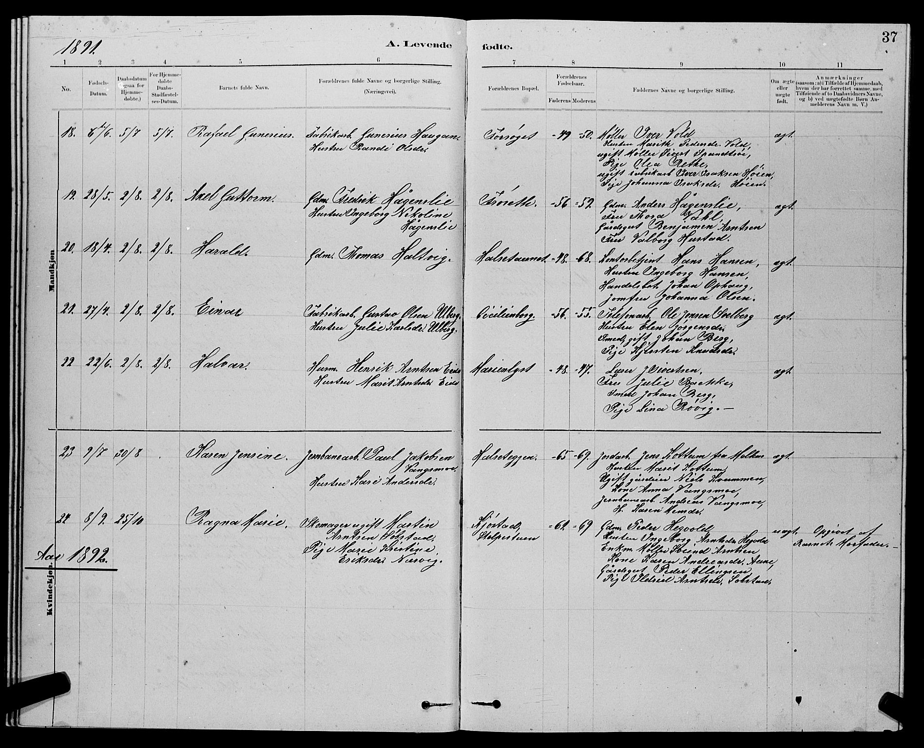 Ministerialprotokoller, klokkerbøker og fødselsregistre - Sør-Trøndelag, SAT/A-1456/611/L0354: Klokkerbok nr. 611C02, 1881-1896, s. 37