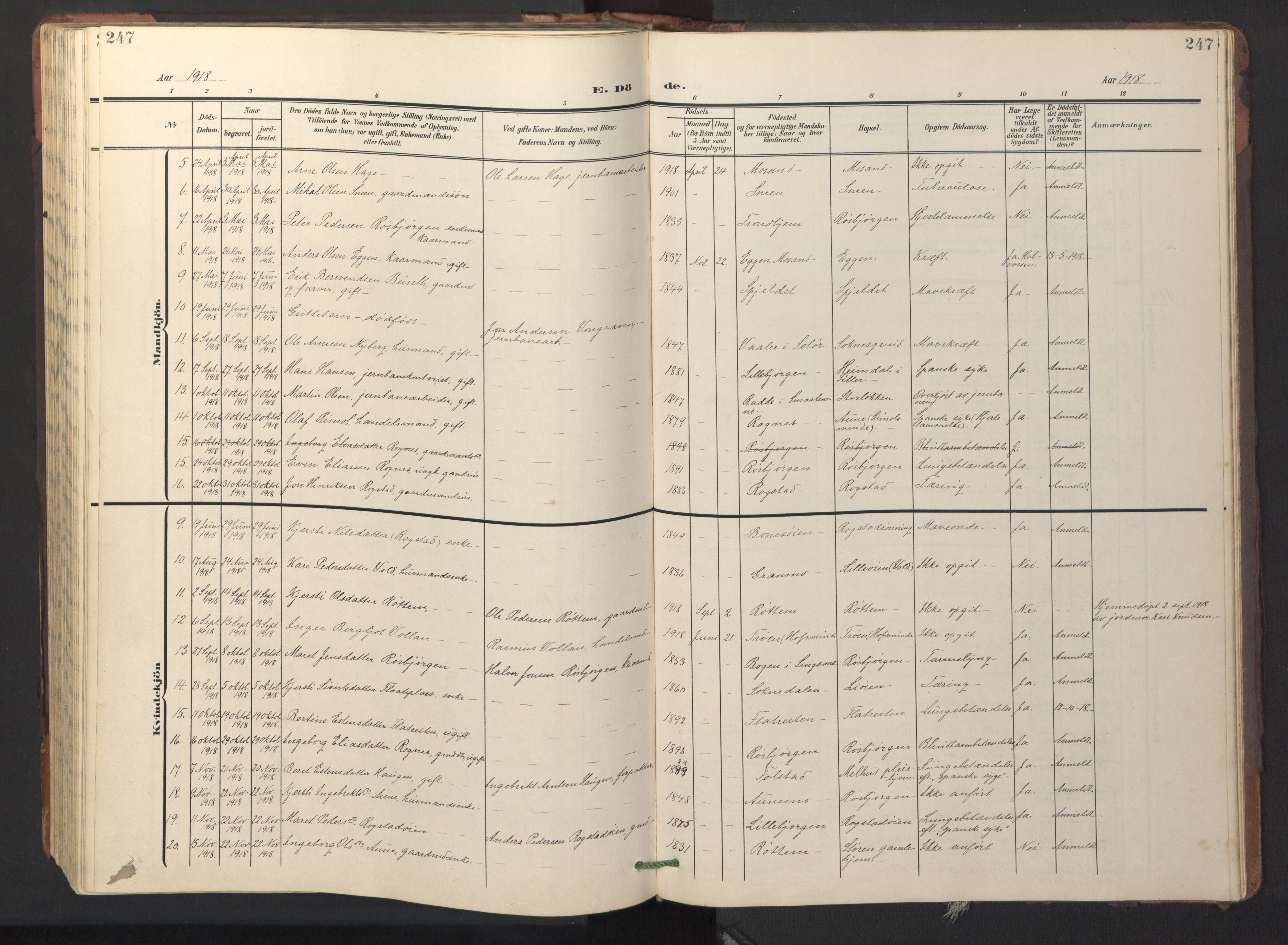 Ministerialprotokoller, klokkerbøker og fødselsregistre - Sør-Trøndelag, SAT/A-1456/687/L1019: Klokkerbok nr. 687C03, 1904-1931, s. 247