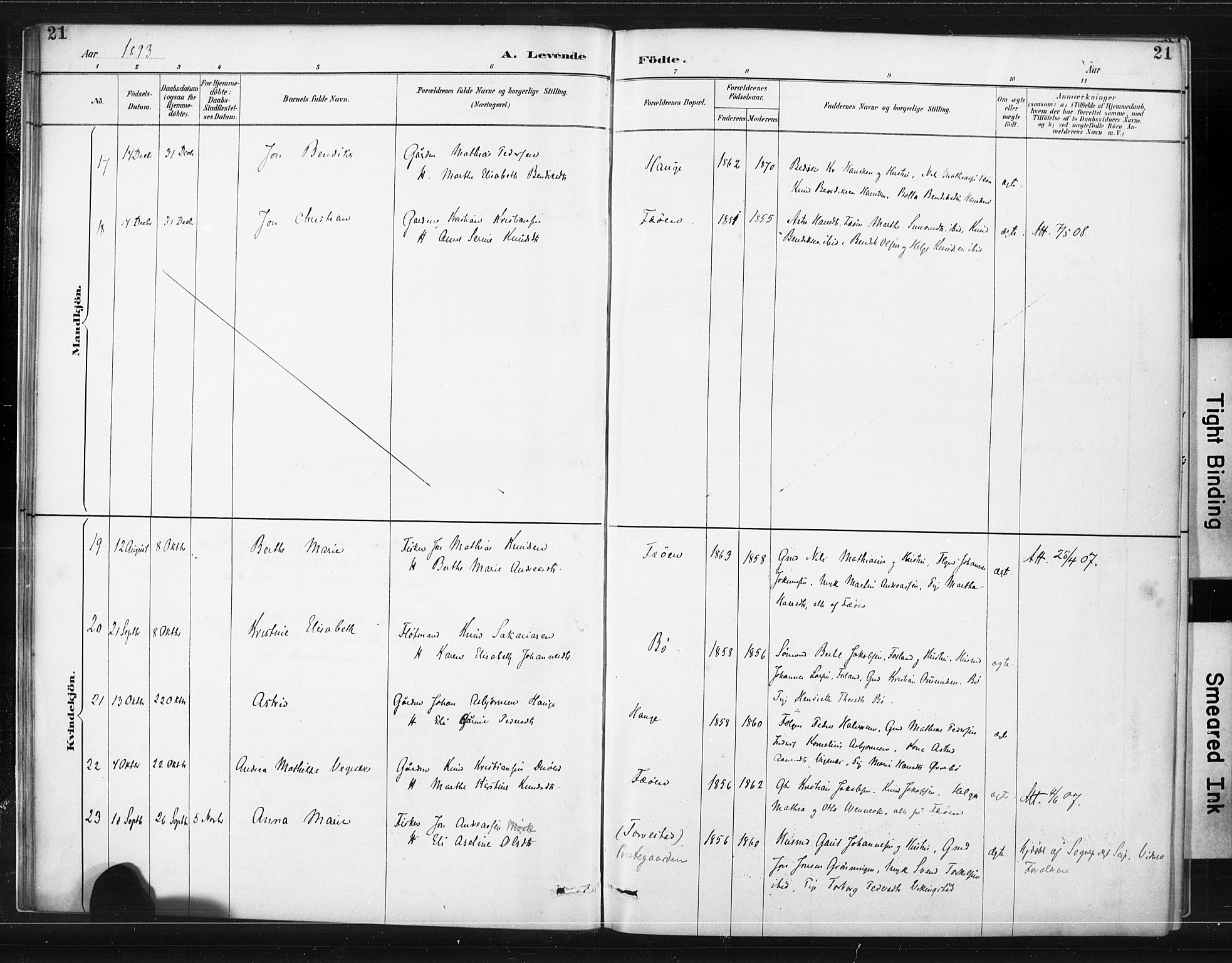 Torvastad sokneprestkontor, SAST/A -101857/H/Ha/Haa/L0015: Ministerialbok nr. A 14, 1888-1899, s. 21