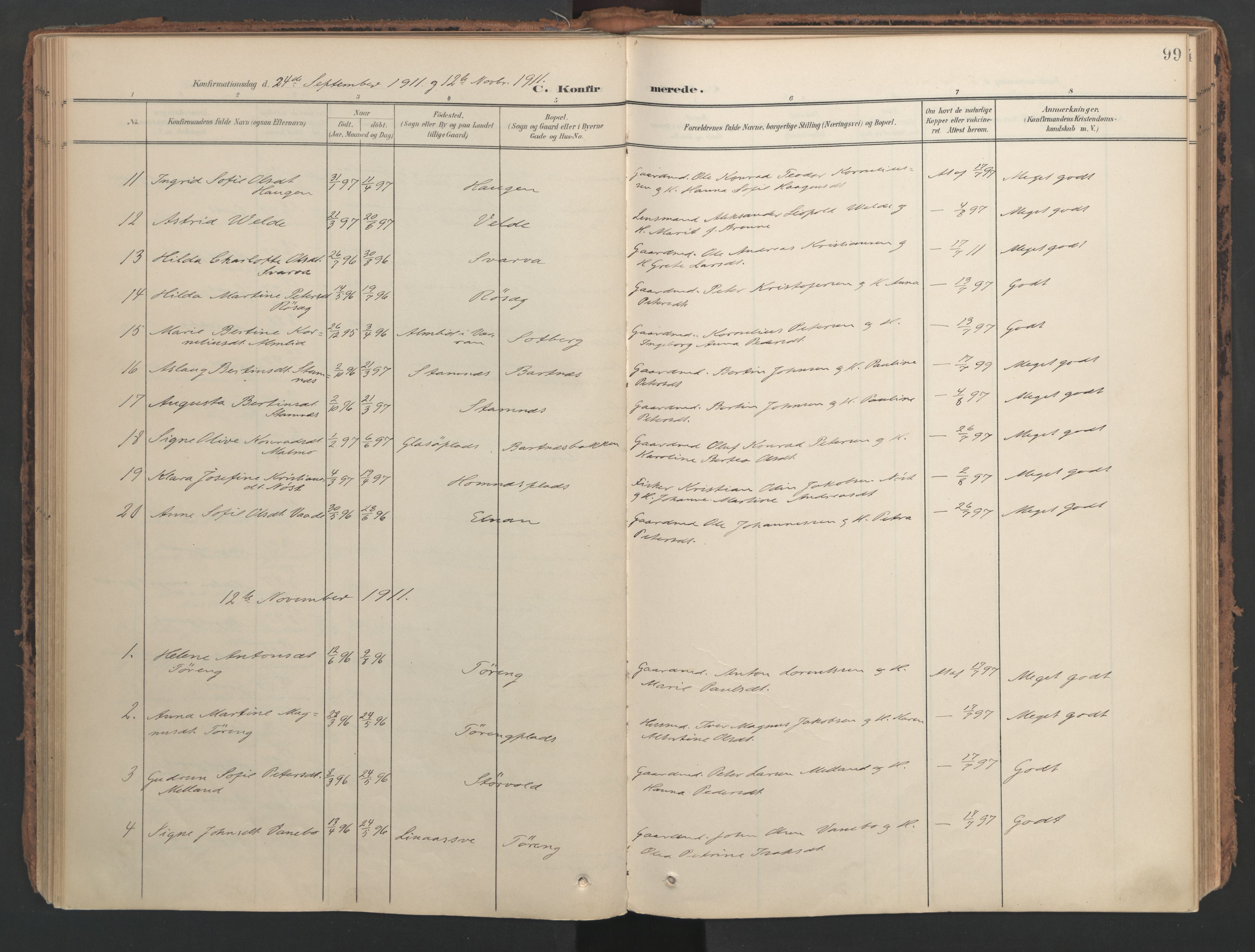 Ministerialprotokoller, klokkerbøker og fødselsregistre - Nord-Trøndelag, AV/SAT-A-1458/741/L0397: Ministerialbok nr. 741A11, 1901-1911, s. 99