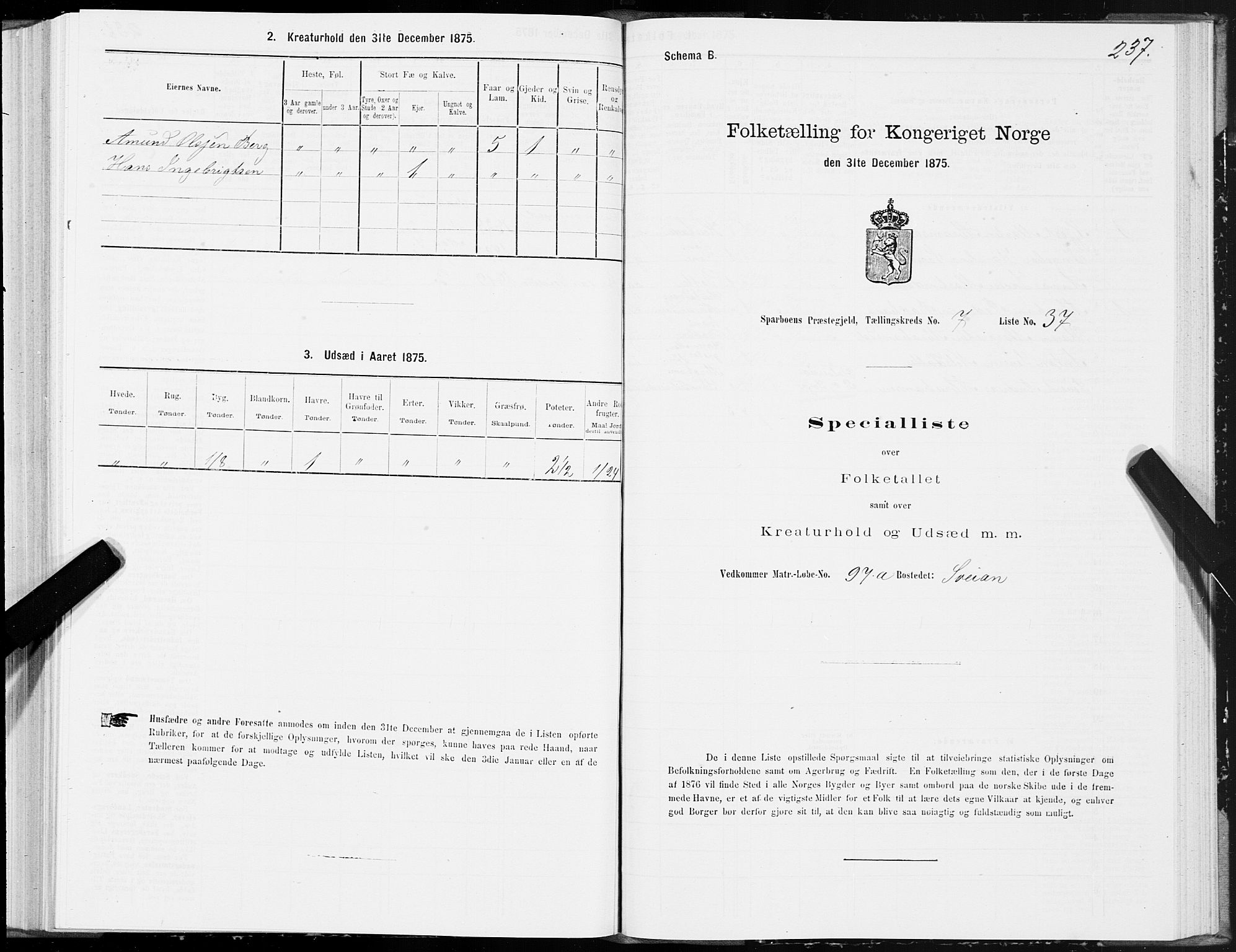 SAT, Folketelling 1875 for 1731P Sparbu prestegjeld, 1875, s. 3237