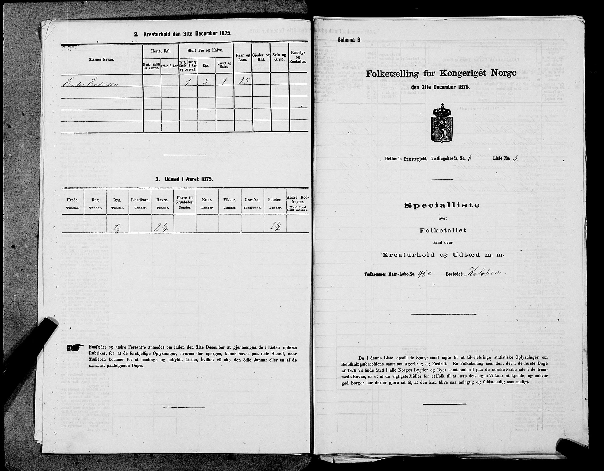 SAST, Folketelling 1875 for 1126P Hetland prestegjeld, 1875, s. 1355