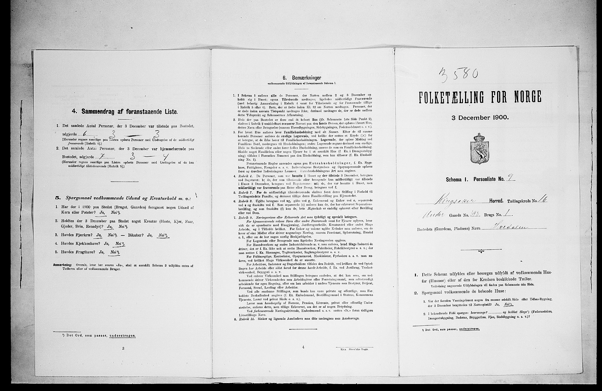 SAH, Folketelling 1900 for 0412 Ringsaker herred, 1900, s. 2970
