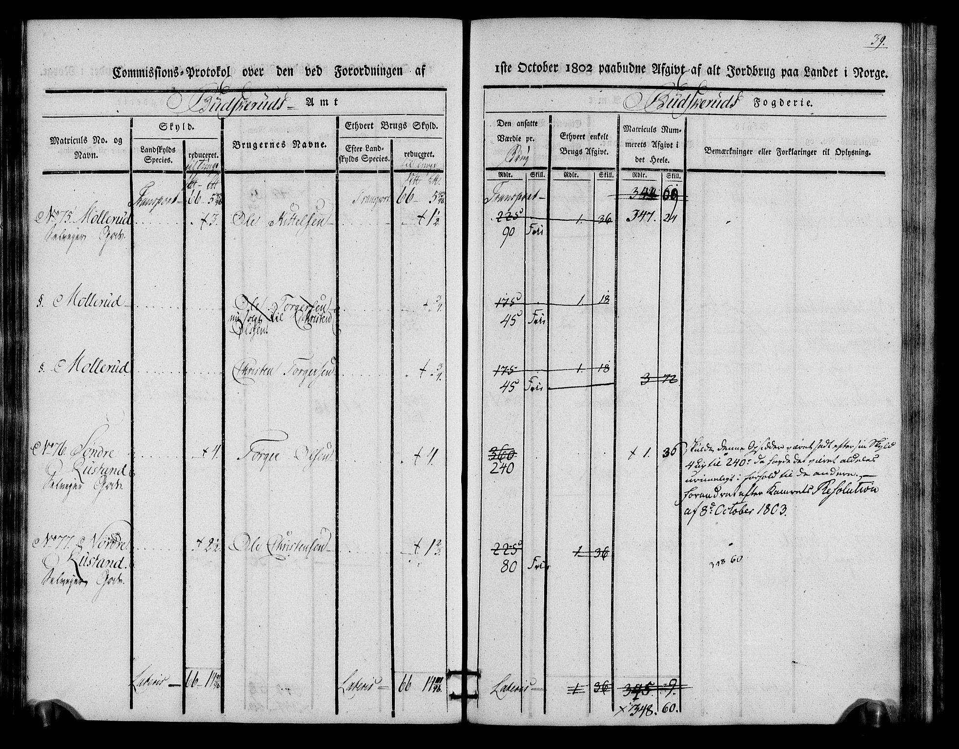 Rentekammeret inntil 1814, Realistisk ordnet avdeling, AV/RA-EA-4070/N/Ne/Nea/L0060: Buskerud fogderi. Kommisjonsprotokoll for Sigdal prestegjeld, 1803, s. 39