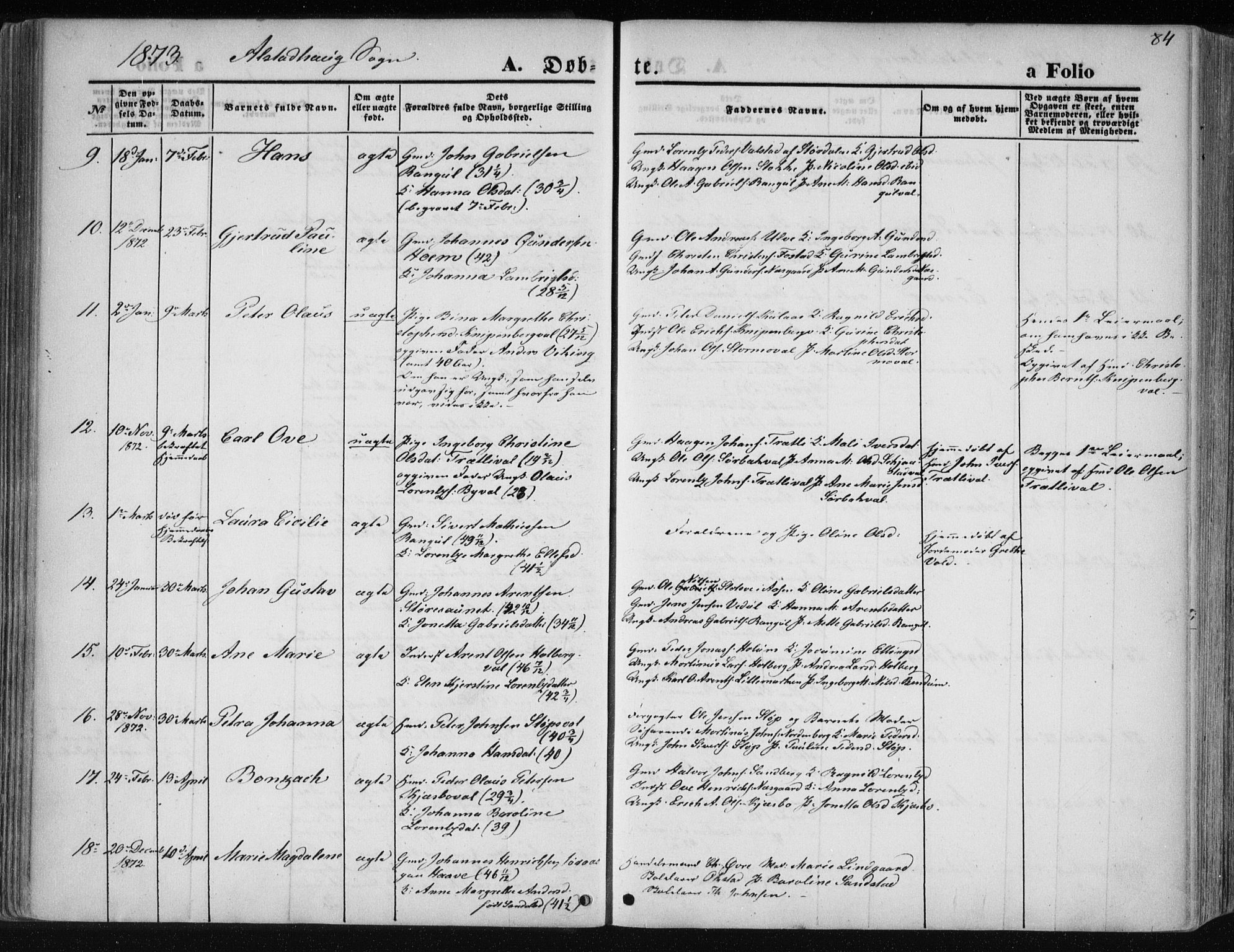 Ministerialprotokoller, klokkerbøker og fødselsregistre - Nord-Trøndelag, AV/SAT-A-1458/717/L0157: Ministerialbok nr. 717A08 /1, 1863-1877, s. 84