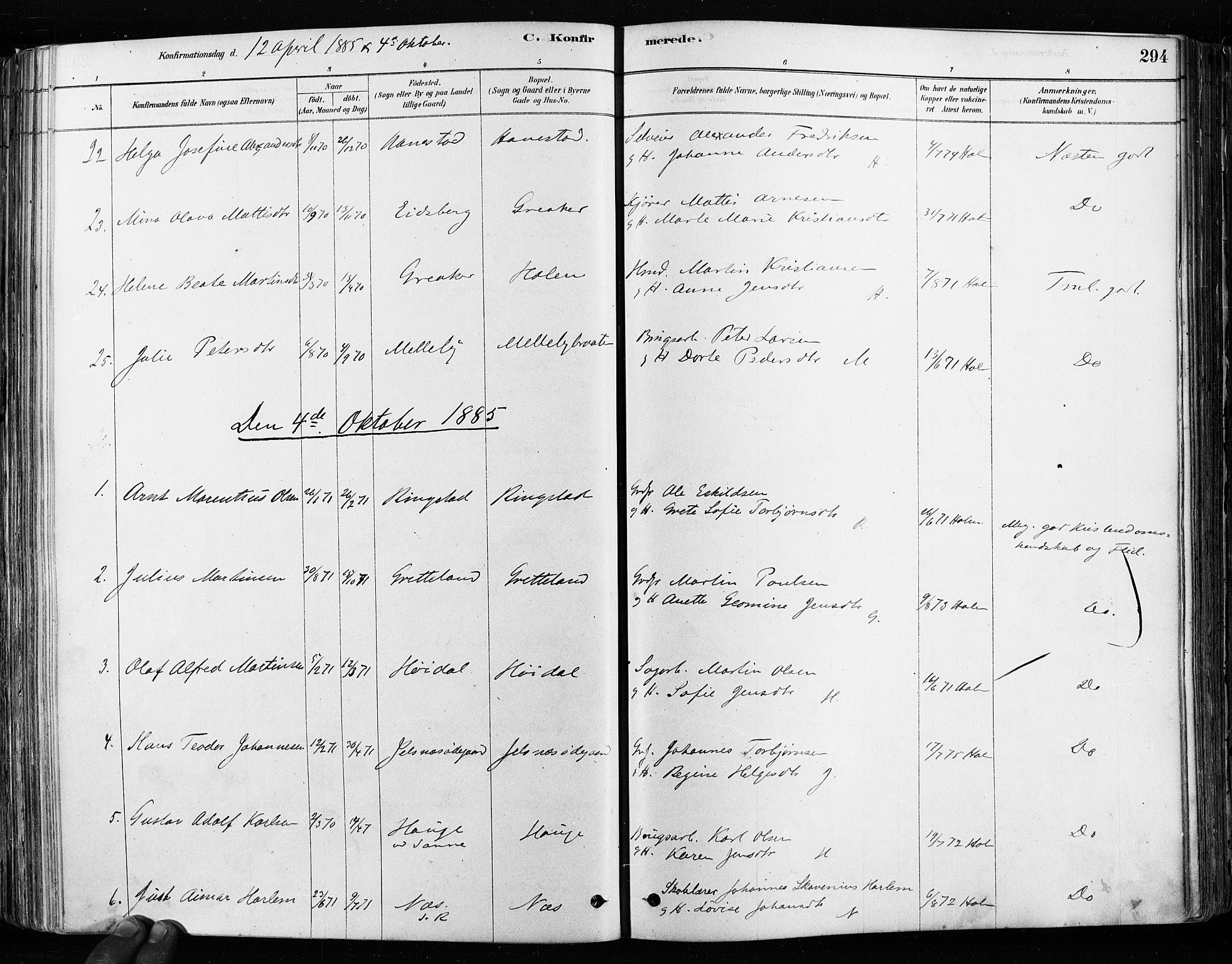 Tune prestekontor Kirkebøker, AV/SAO-A-2007/F/Fa/L0017: Ministerialbok nr. 17, 1878-1887, s. 294