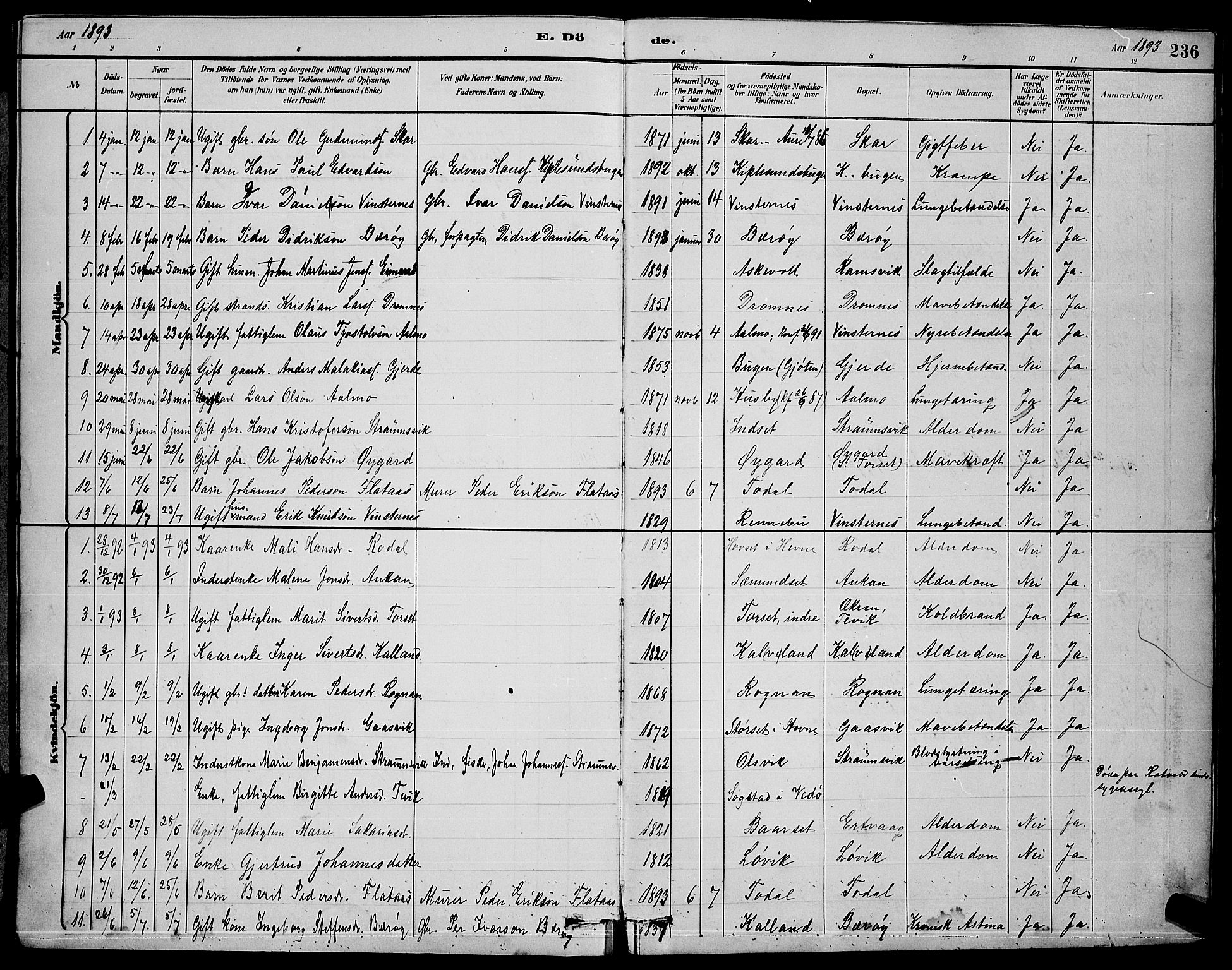 Ministerialprotokoller, klokkerbøker og fødselsregistre - Møre og Romsdal, AV/SAT-A-1454/578/L0909: Klokkerbok nr. 578C02, 1882-1900, s. 236