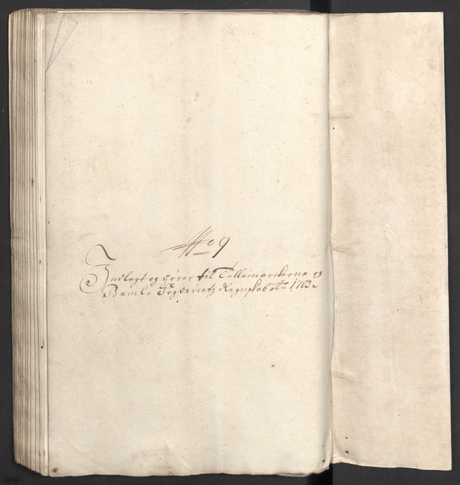 Rentekammeret inntil 1814, Reviderte regnskaper, Fogderegnskap, AV/RA-EA-4092/R36/L2109: Fogderegnskap Øvre og Nedre Telemark og Bamble, 1703, s. 195