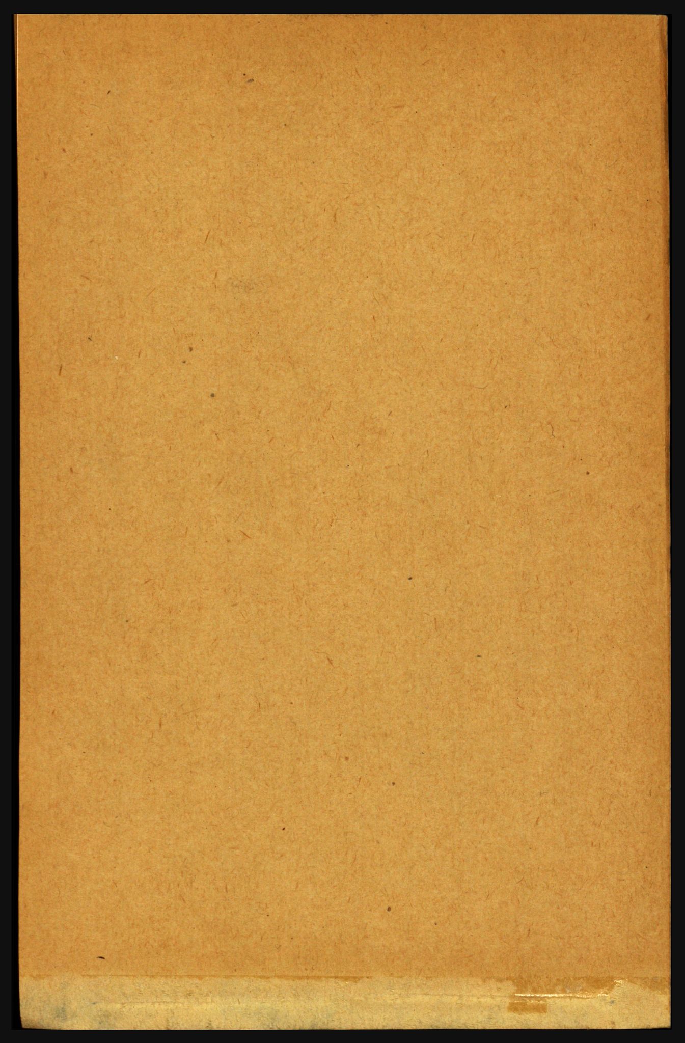 RA, Folketelling 1891 for 1719 Skogn herred, 1891, s. 973
