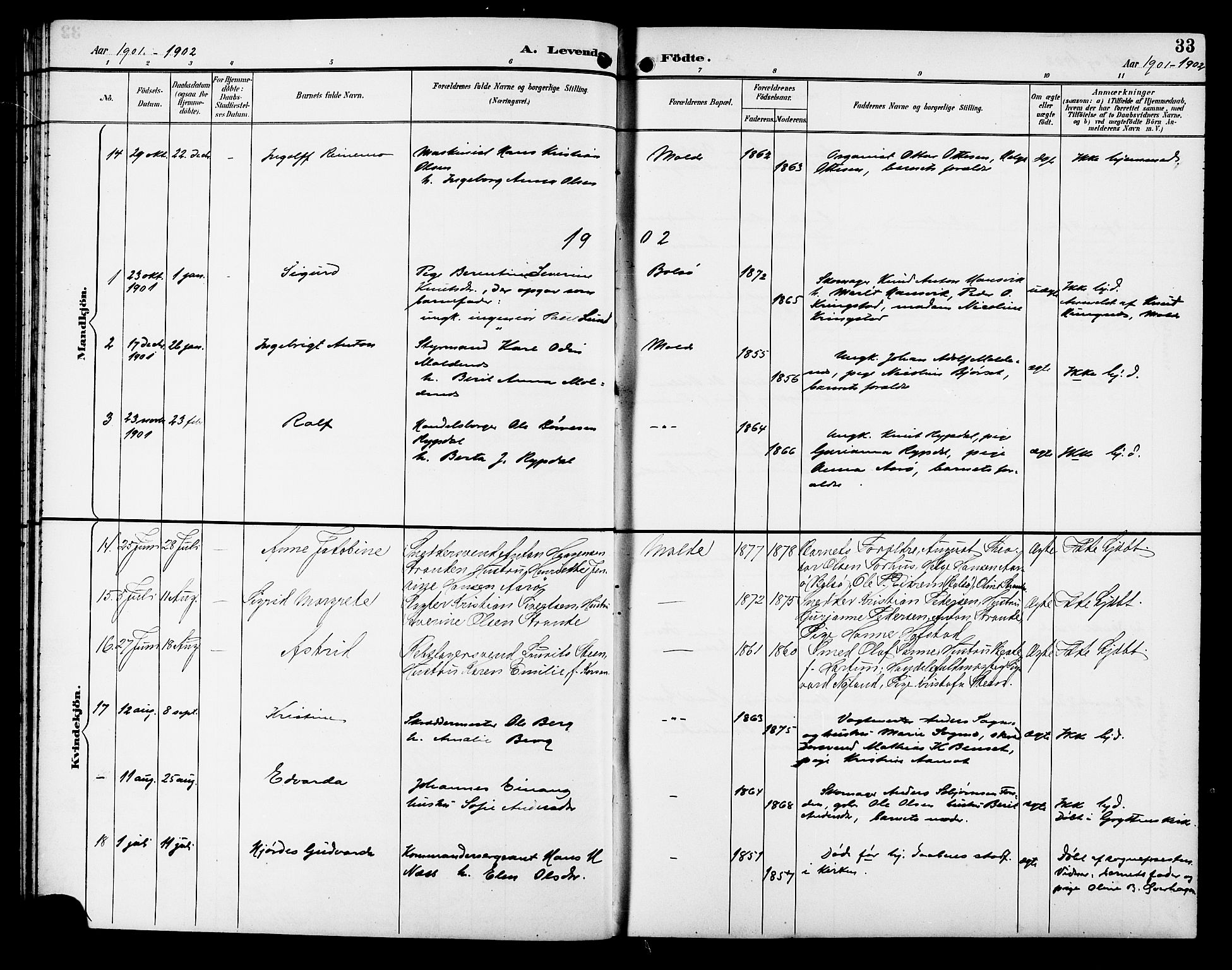 Ministerialprotokoller, klokkerbøker og fødselsregistre - Møre og Romsdal, SAT/A-1454/558/L0702: Klokkerbok nr. 558C03, 1894-1915, s. 33