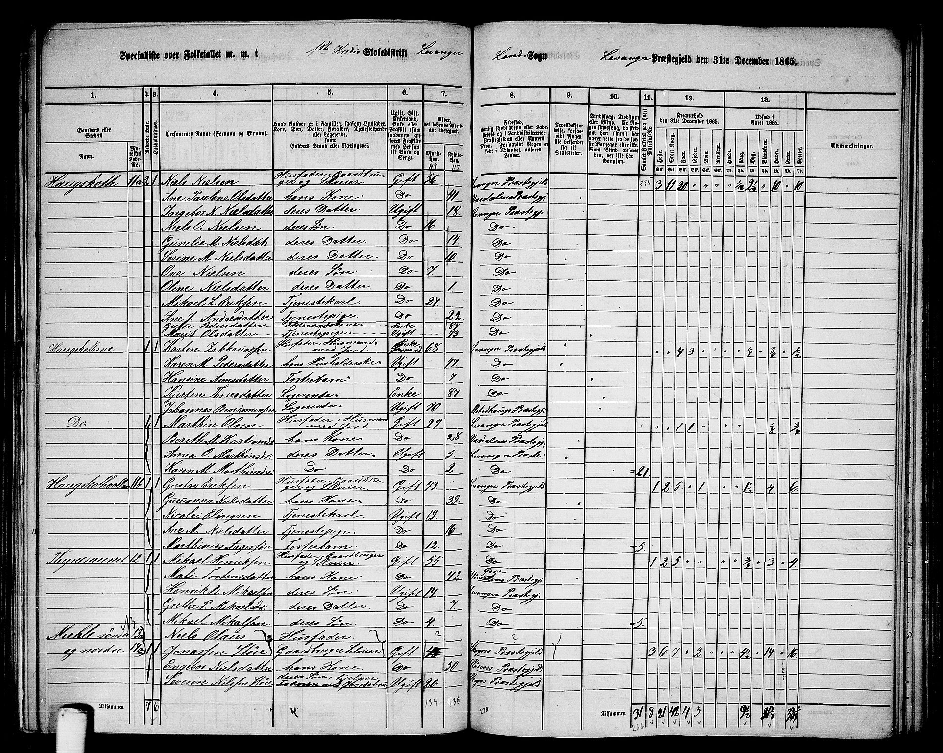 RA, Folketelling 1865 for 1720L Levanger prestegjeld, Levanger landsokn, 1865, s. 13