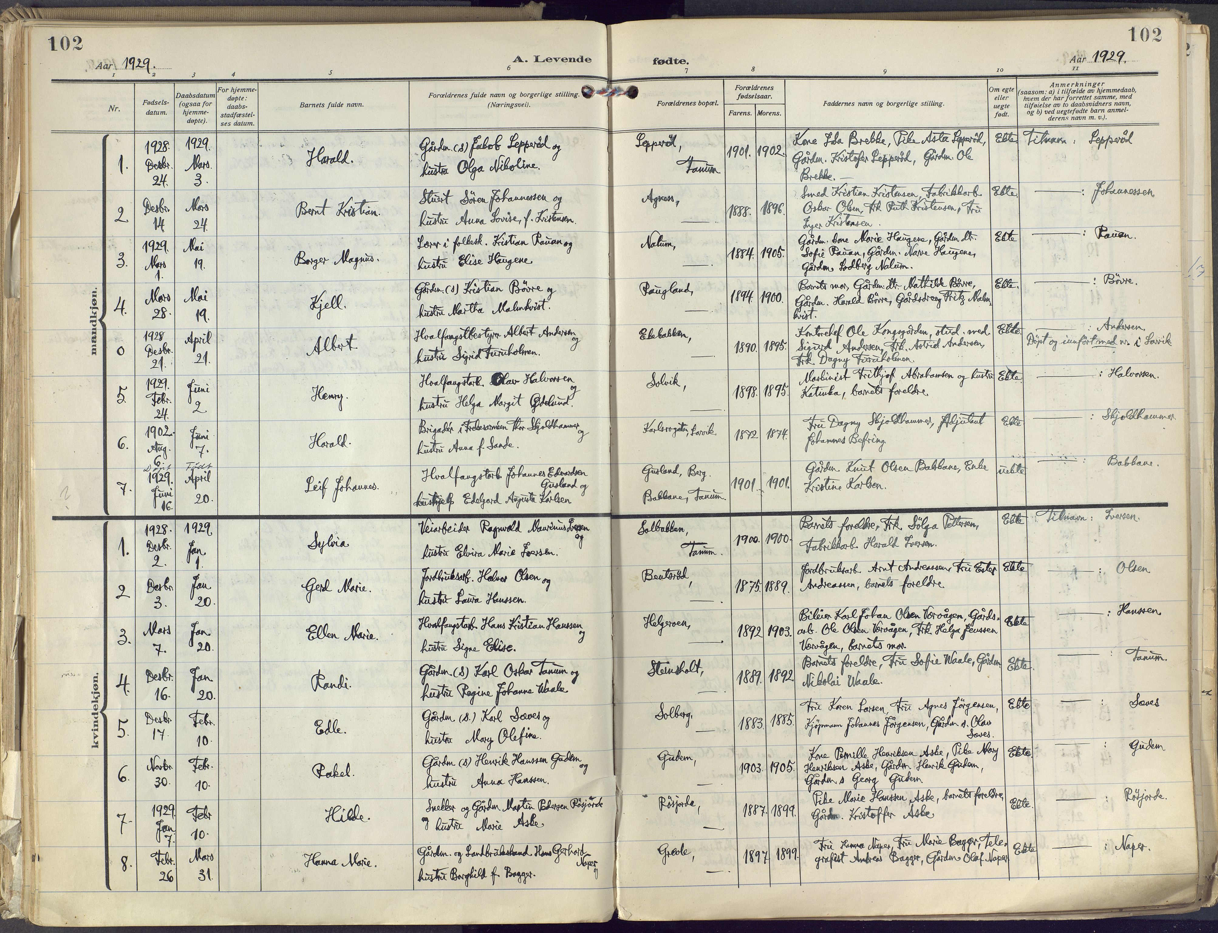 Brunlanes kirkebøker, SAKO/A-342/F/Fc/L0004: Ministerialbok nr. III 4, 1923-1943, s. 102