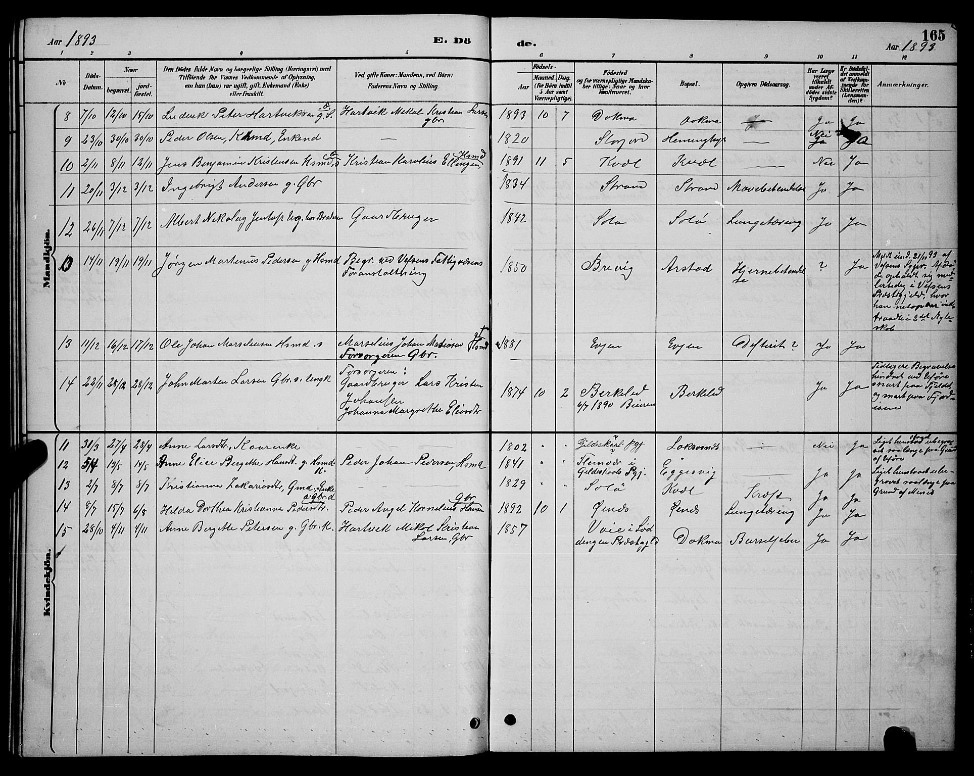 Ministerialprotokoller, klokkerbøker og fødselsregistre - Nordland, AV/SAT-A-1459/846/L0654: Klokkerbok nr. 846C04, 1887-1901, s. 165