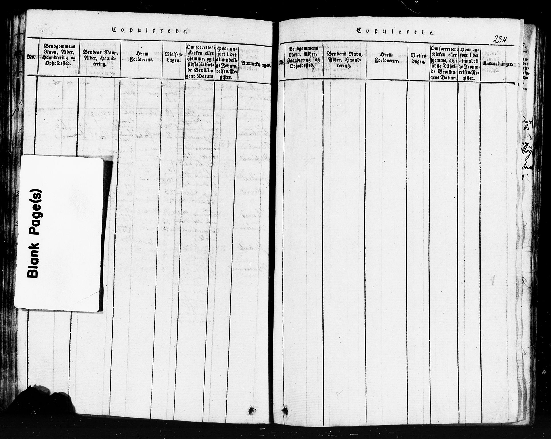 Klepp sokneprestkontor, AV/SAST-A-101803/001/3/30BB/L0001: Klokkerbok nr.  B 1, 1816-1859, s. 234