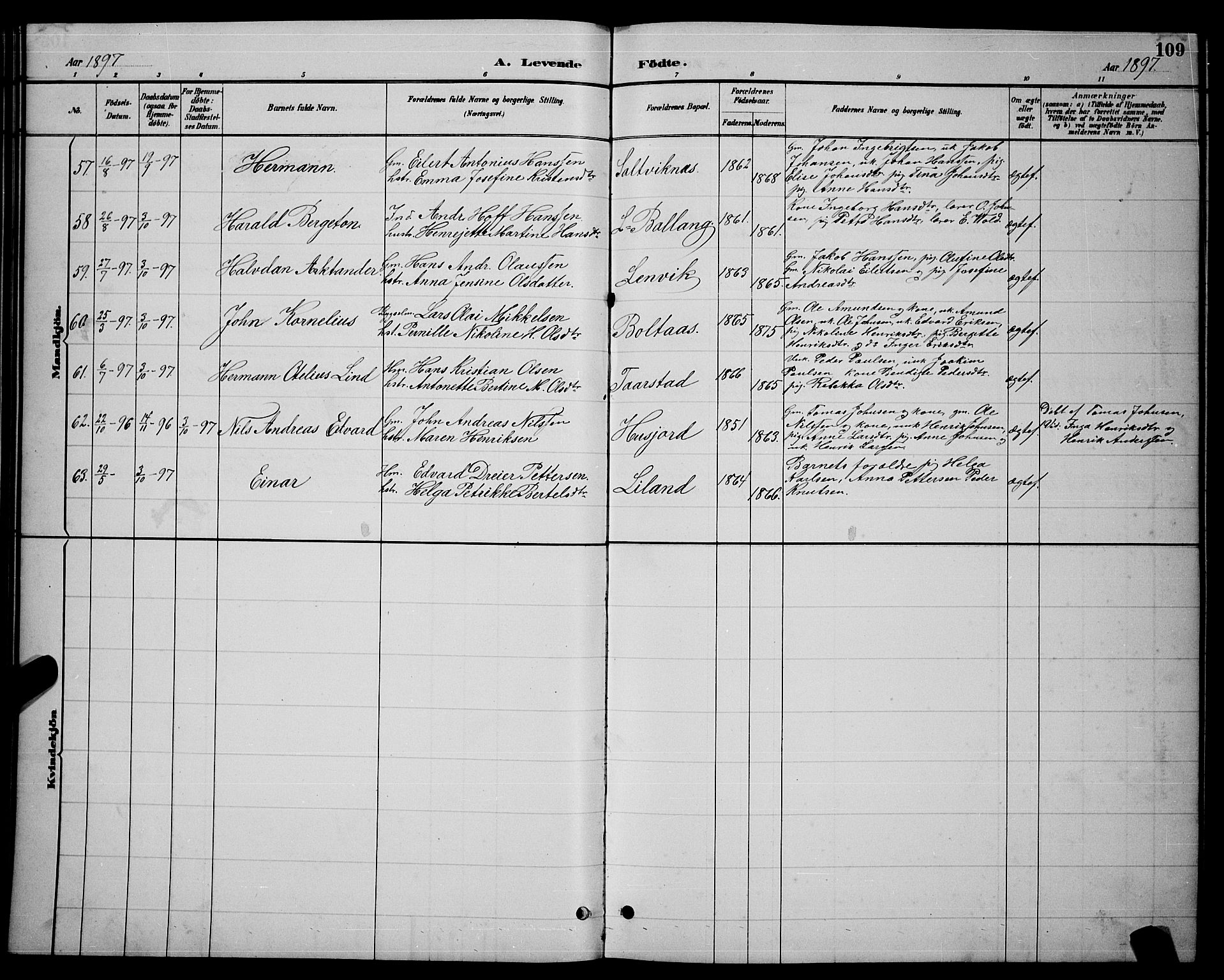 Ministerialprotokoller, klokkerbøker og fødselsregistre - Nordland, AV/SAT-A-1459/863/L0914: Klokkerbok nr. 863C04, 1886-1897, s. 109