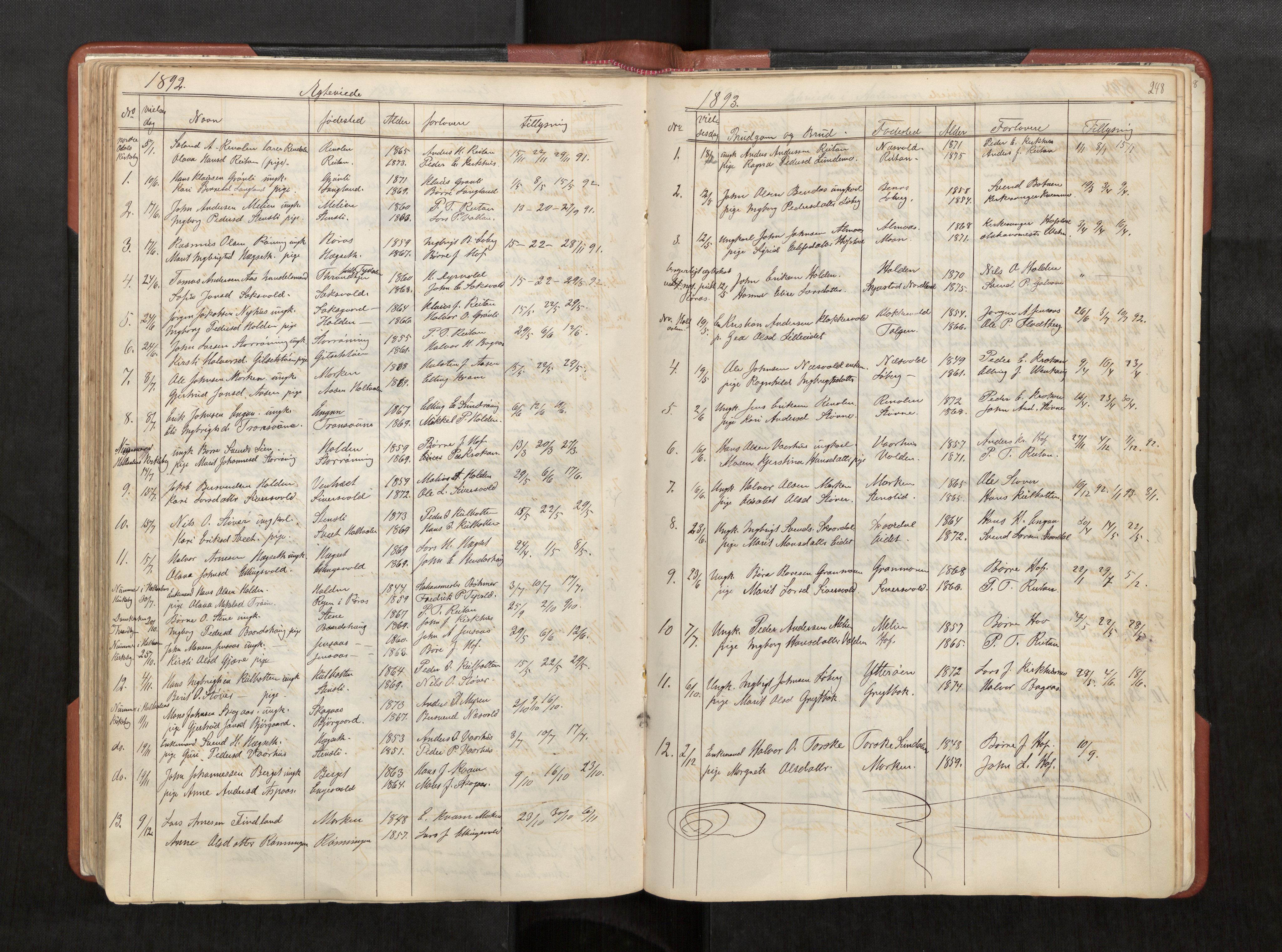 Ministerialprotokoller, klokkerbøker og fødselsregistre - Sør-Trøndelag, AV/SAT-A-1456/686/L0985: Klokkerbok nr. 686C01, 1871-1933, s. 248