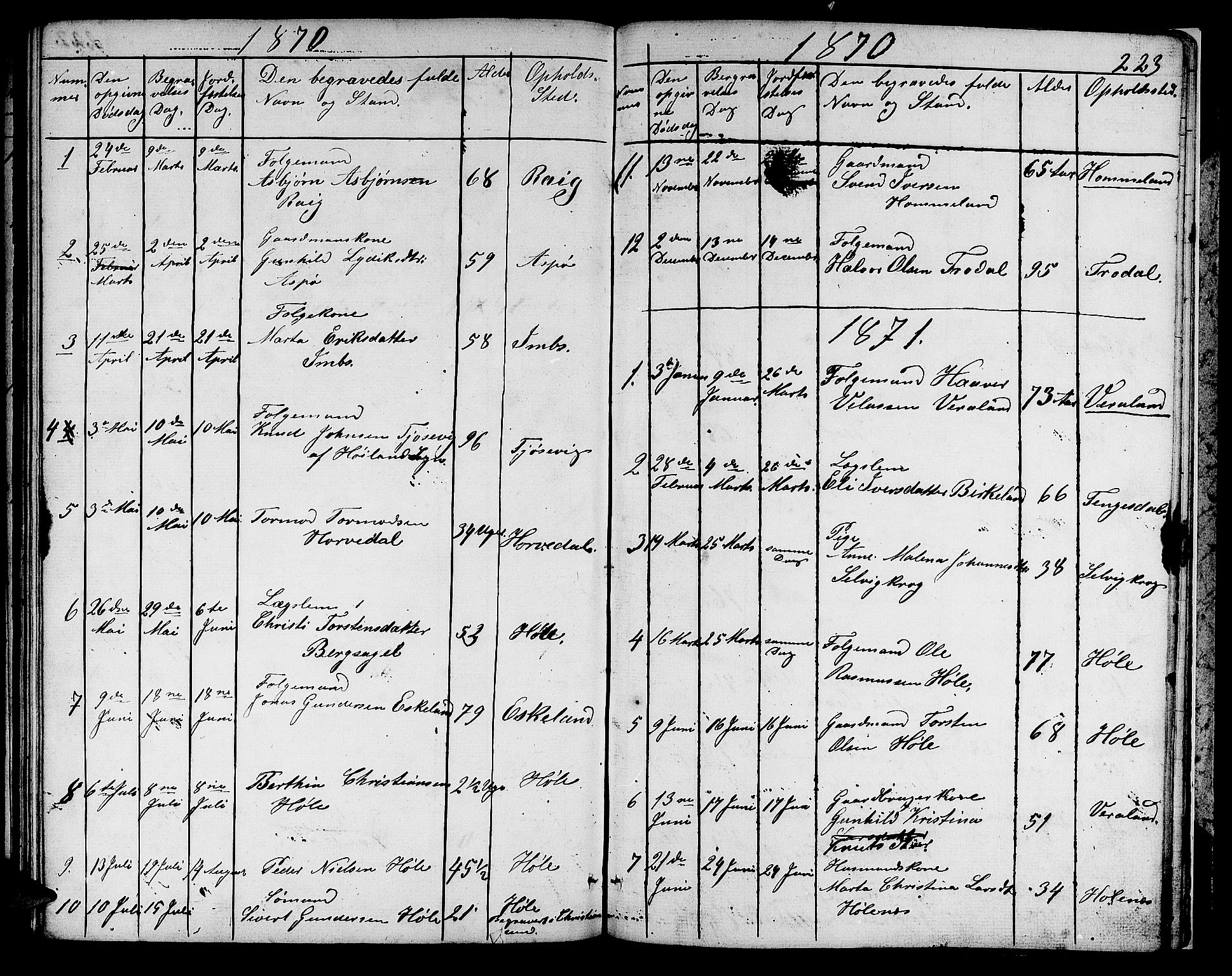 Høgsfjord sokneprestkontor, AV/SAST-A-101624/H/Ha/Hab/L0001: Klokkerbok nr. B 1, 1855-1885, s. 223