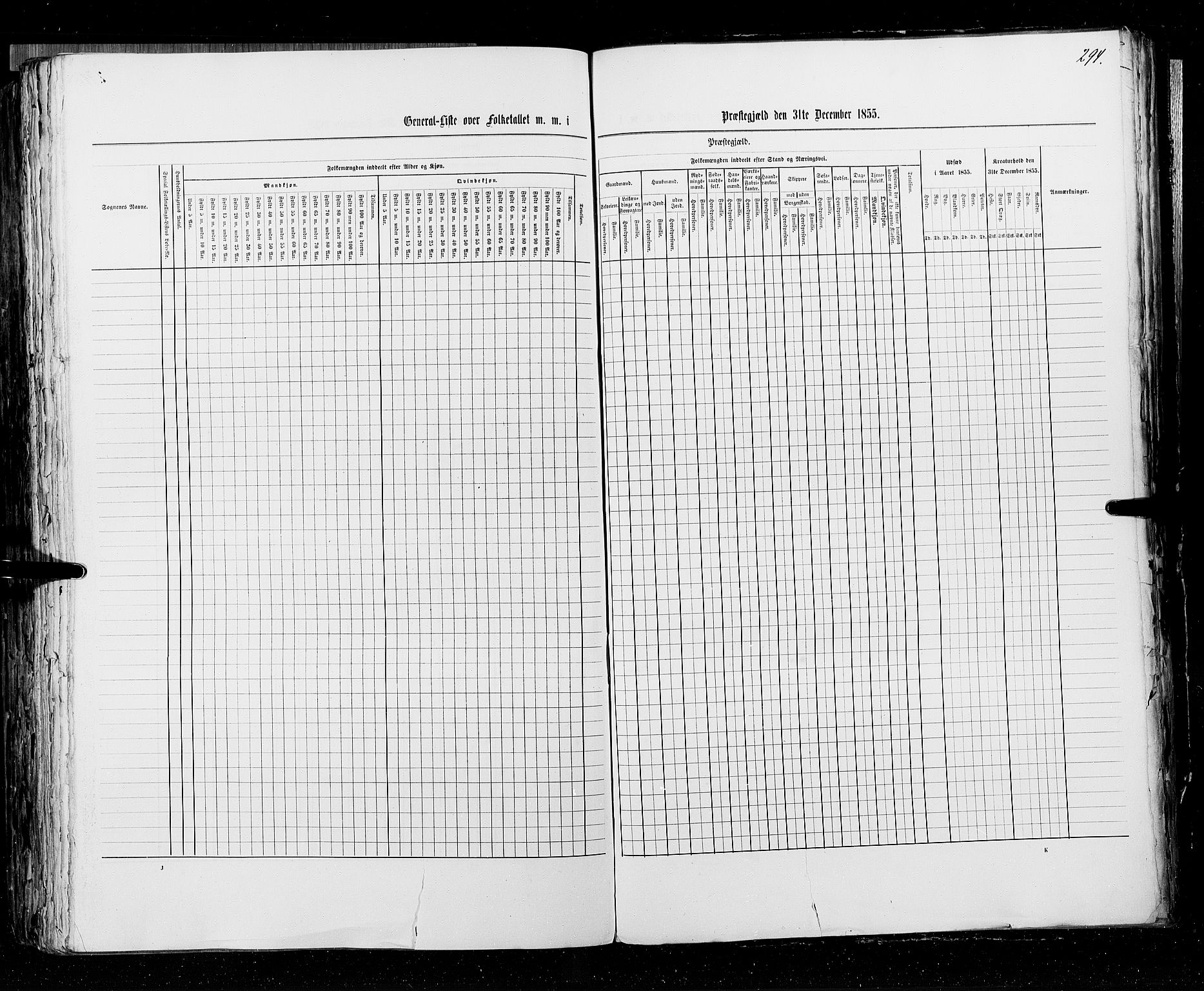 RA, Folketellingen 1855, bind 3: Bratsberg amt, Nedenes amt og Lister og Mandal amt, 1855, s. 294