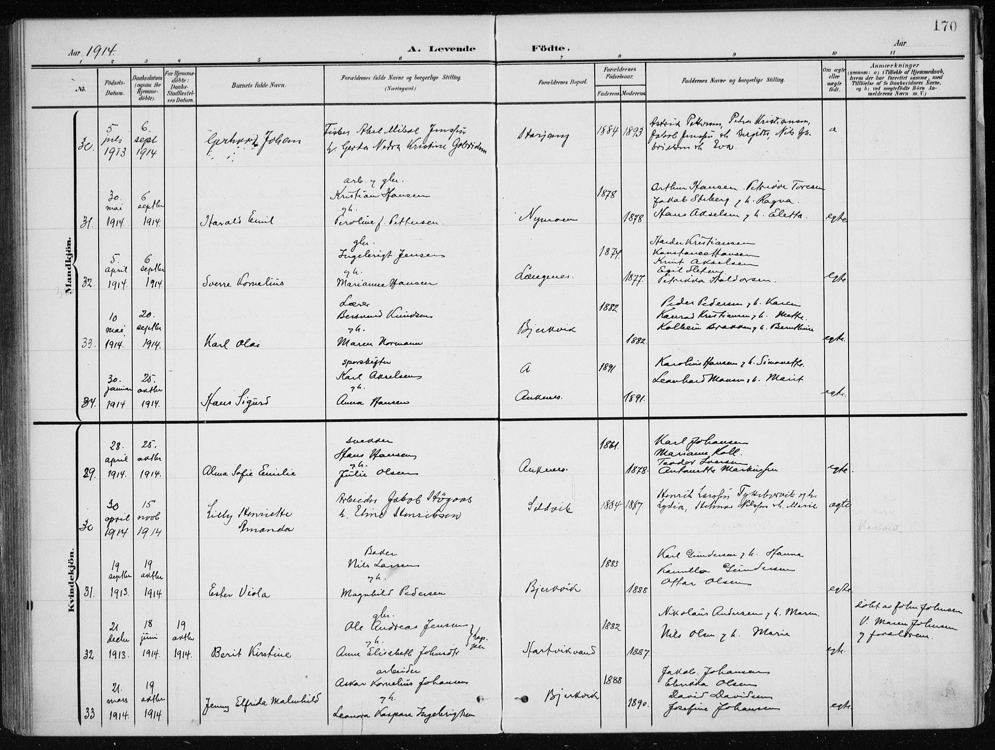 Ministerialprotokoller, klokkerbøker og fødselsregistre - Nordland, AV/SAT-A-1459/866/L0941: Ministerialbok nr. 866A04, 1901-1917, s. 170