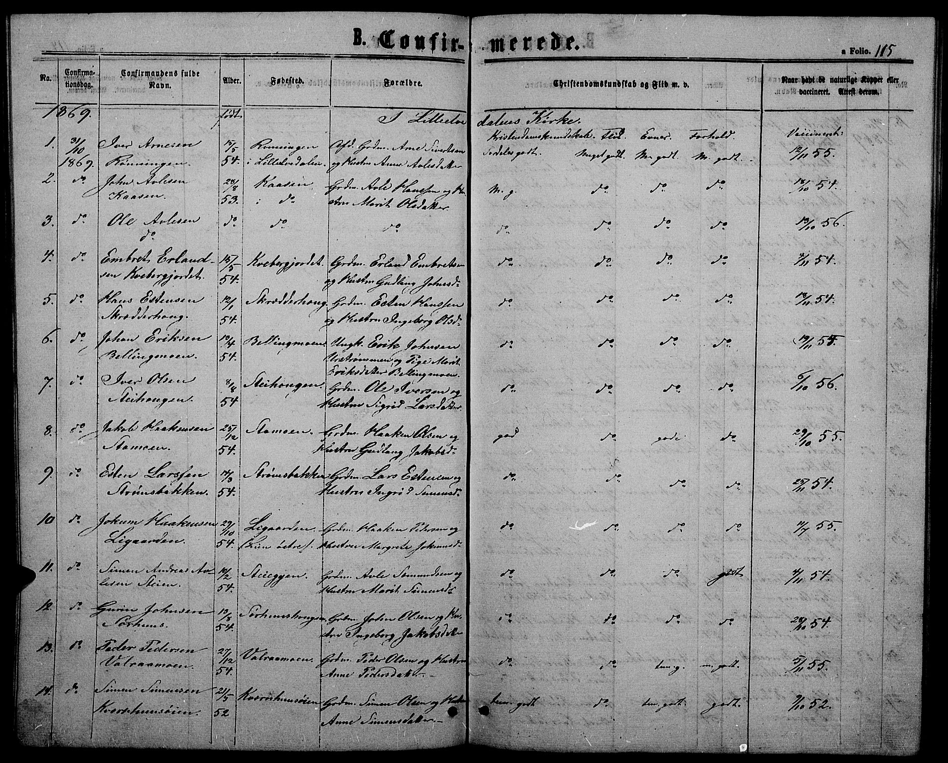 Alvdal prestekontor, SAH/PREST-060/H/Ha/Hab/L0002: Klokkerbok nr. 2, 1863-1878, s. 115