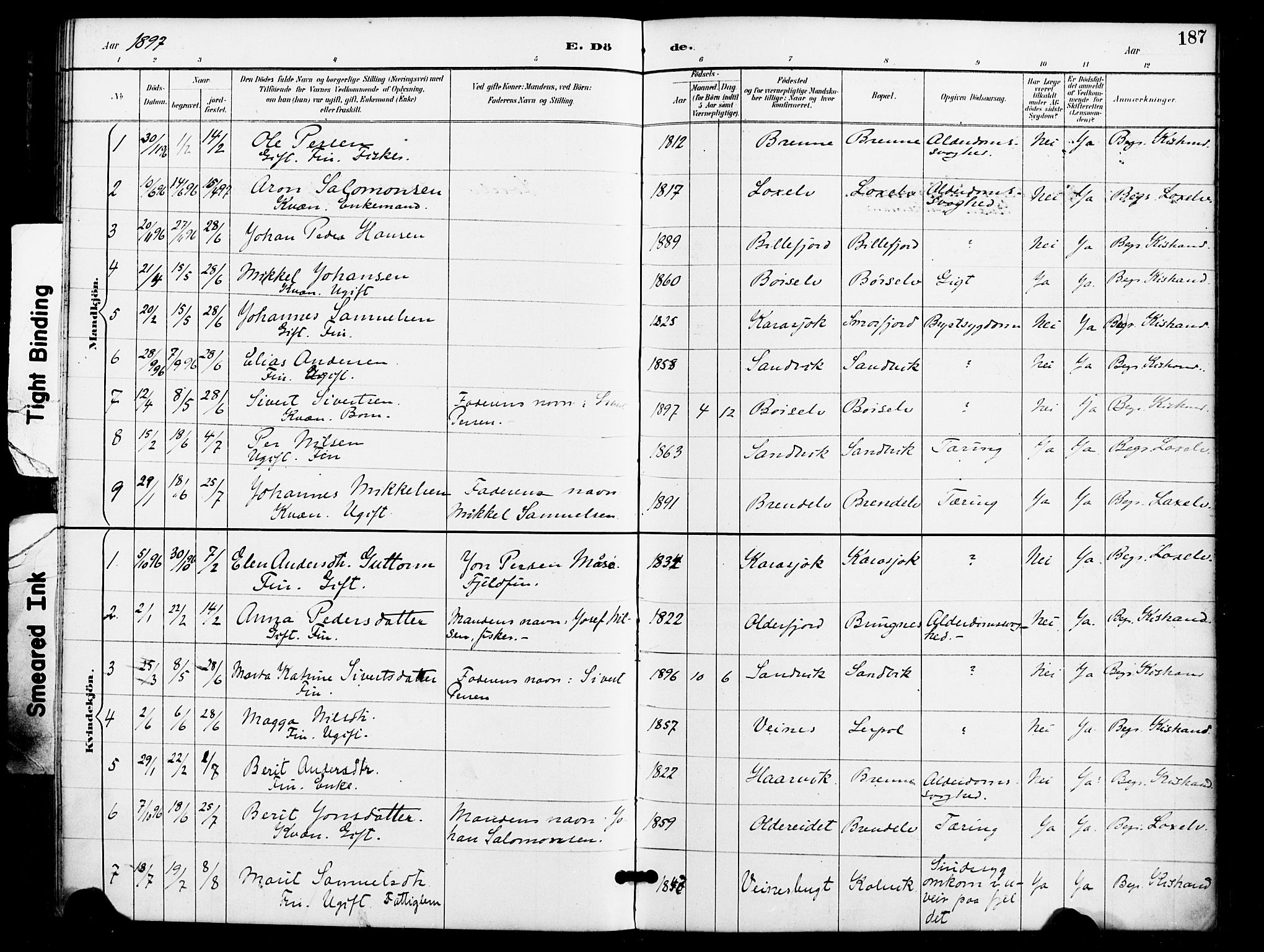 Kistrand/Porsanger sokneprestembete, AV/SATØ-S-1351/H/Ha/L0008.kirke: Ministerialbok nr. 8, 1890-1898, s. 187