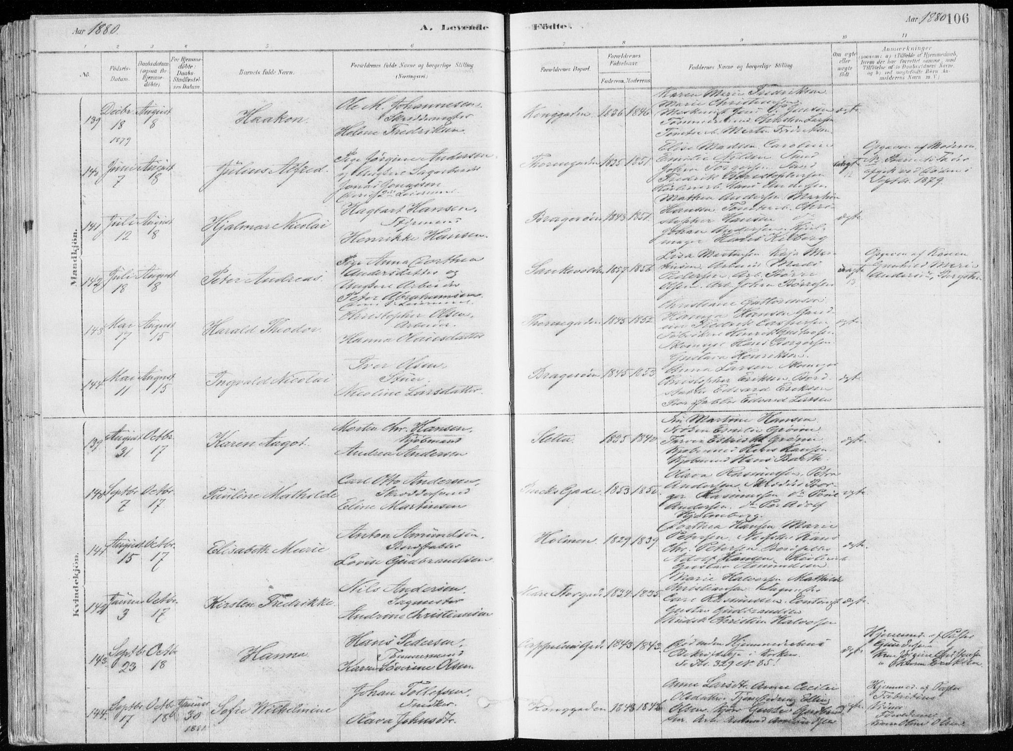 Bragernes kirkebøker, AV/SAKO-A-6/F/Fb/L0006a: Ministerialbok nr. II 6A, 1878-1885, s. 106