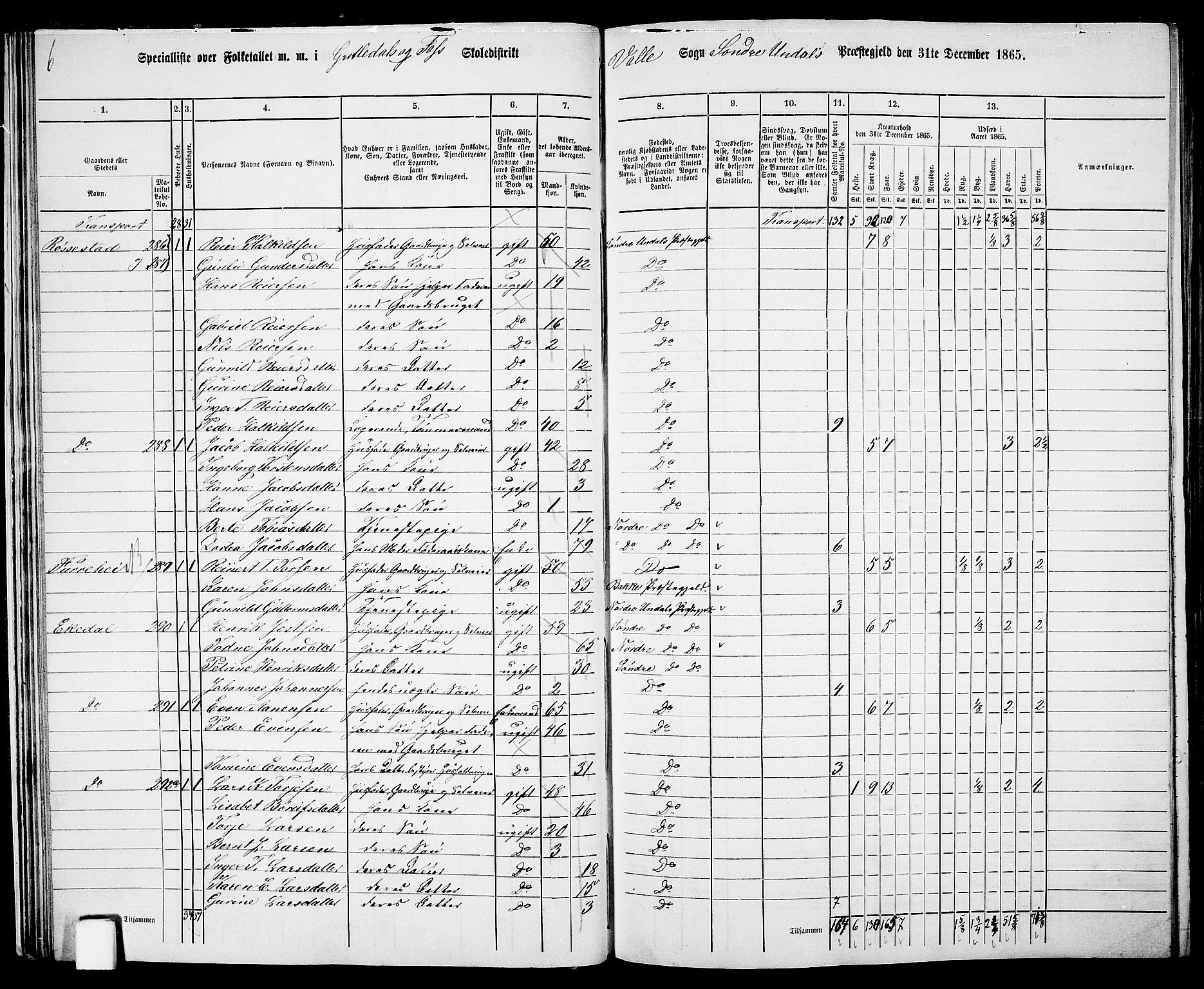 RA, Folketelling 1865 for 1029P Sør-Audnedal prestegjeld, 1865, s. 32