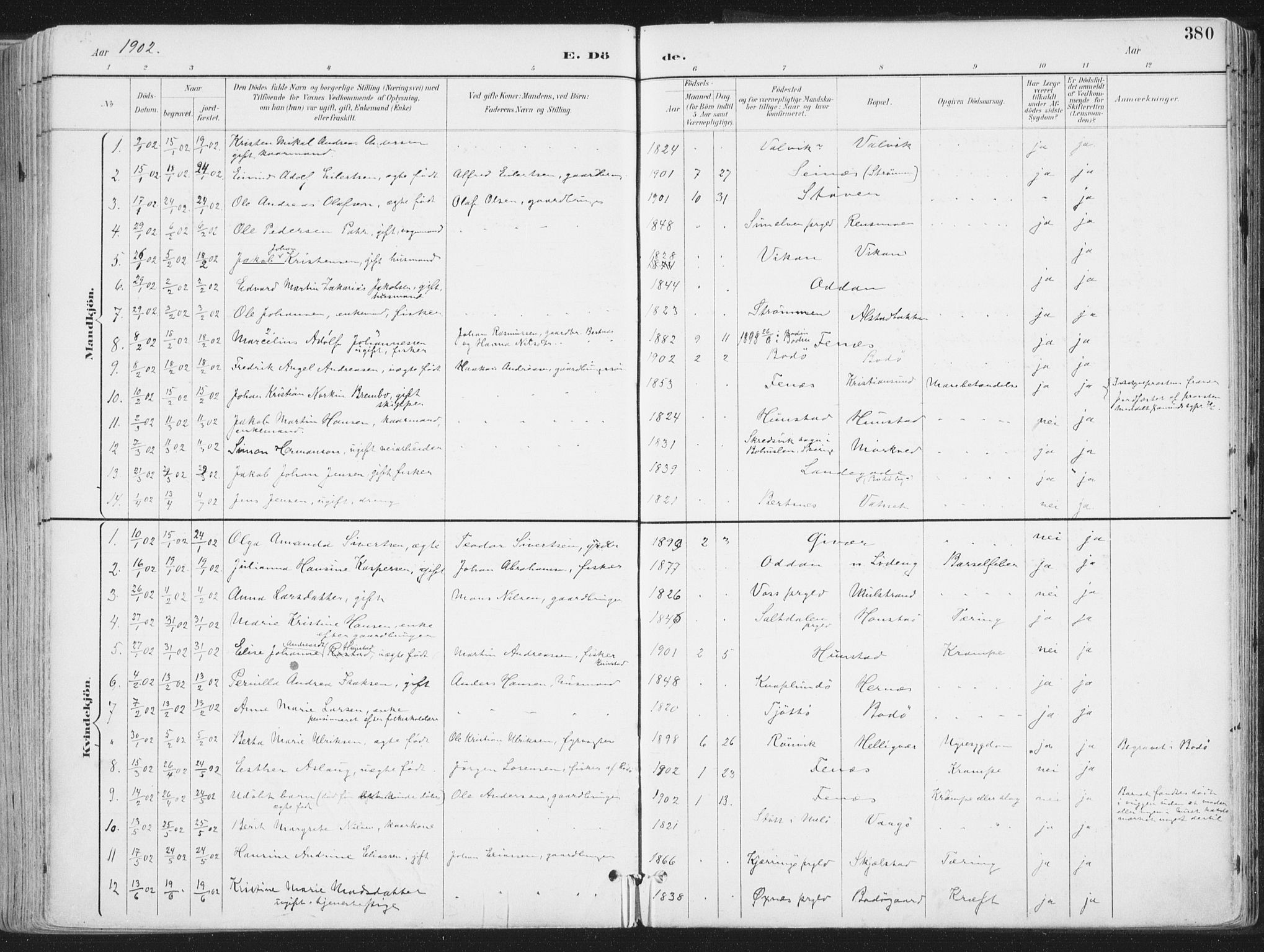 Ministerialprotokoller, klokkerbøker og fødselsregistre - Nordland, SAT/A-1459/802/L0055: Ministerialbok nr. 802A02, 1894-1915, s. 380
