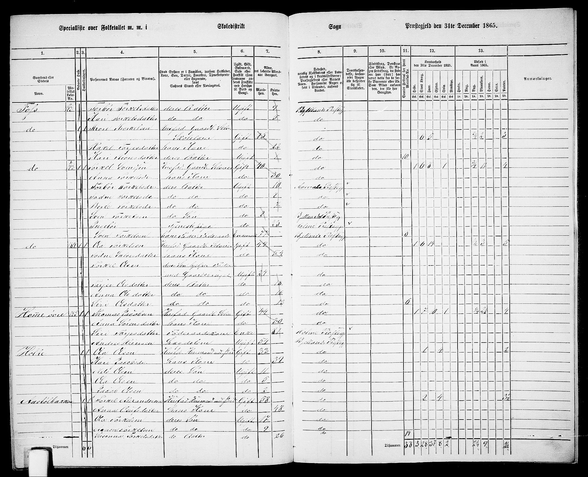 RA, Folketelling 1865 for 1024P Bjelland prestegjeld, 1865, s. 112
