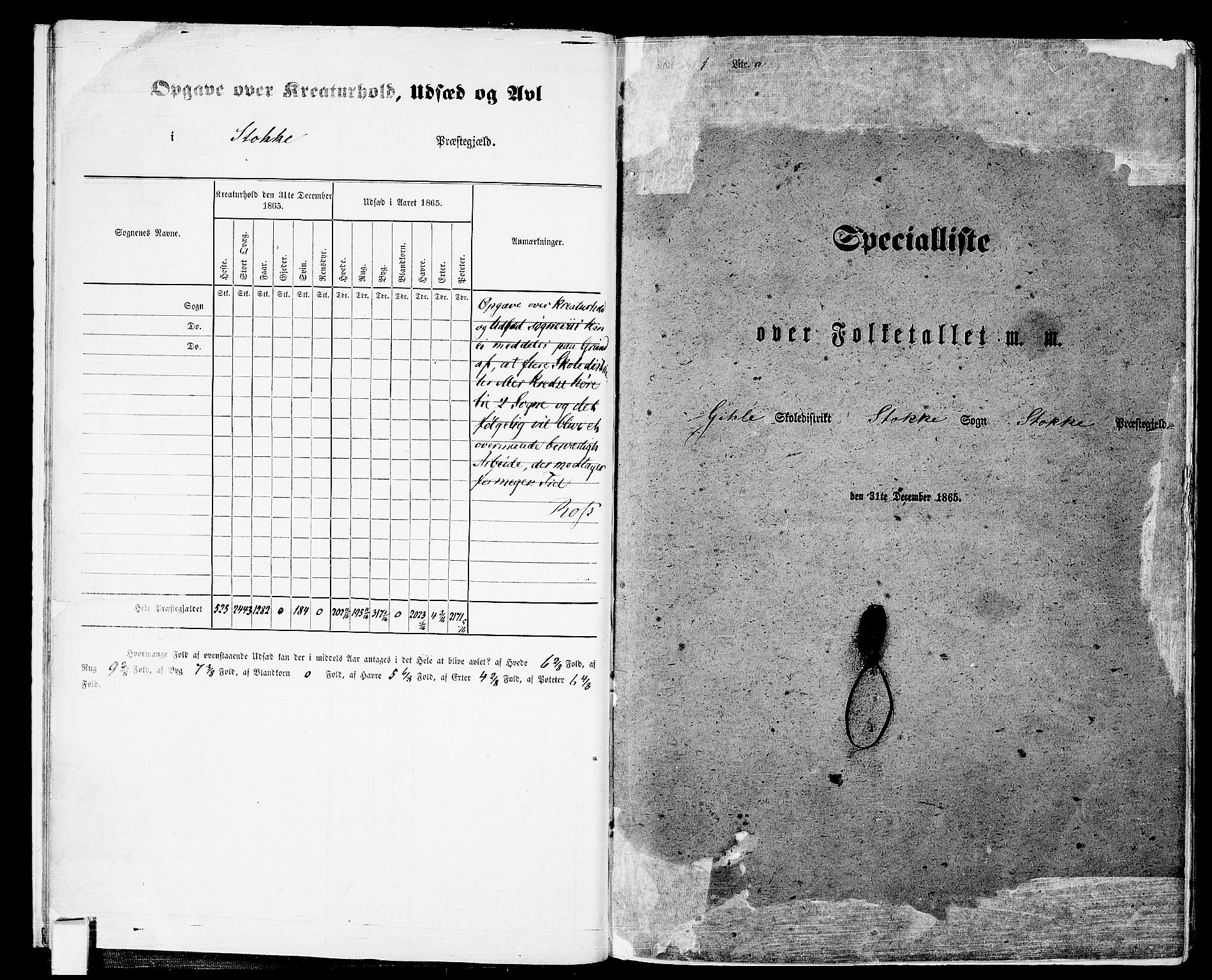 RA, Folketelling 1865 for 0720P Stokke prestegjeld, 1865, s. 13