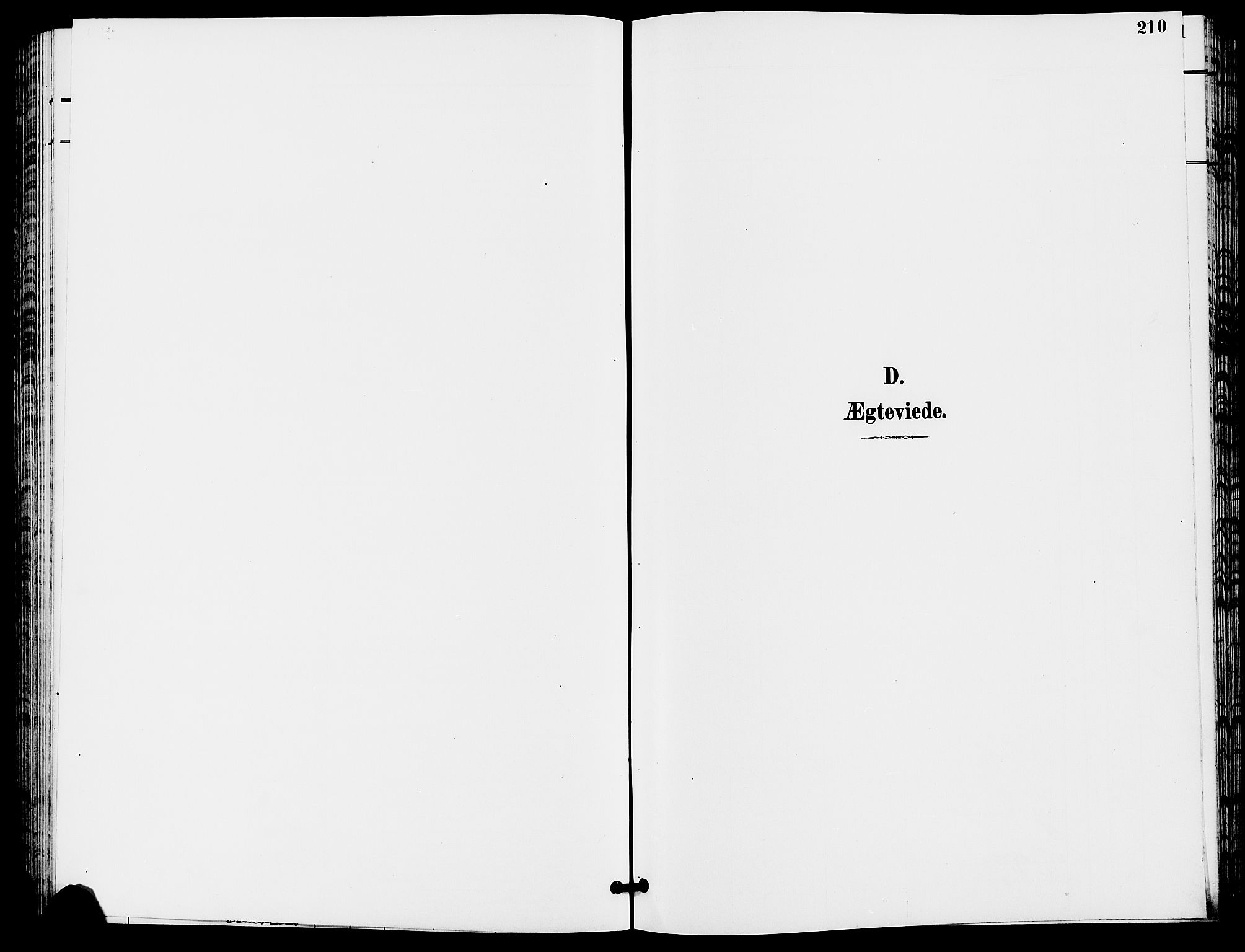 Trysil prestekontor, SAH/PREST-046/H/Ha/Hab/L0006: Klokkerbok nr. 6, 1896-1912, s. 210
