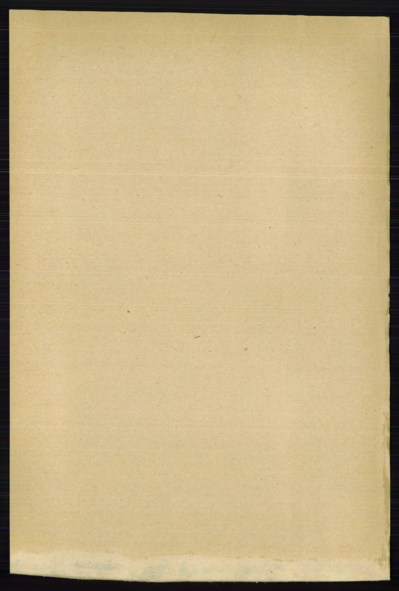 RA, Folketelling 1891 for 0237 Eidsvoll herred, 1891, s. 4596