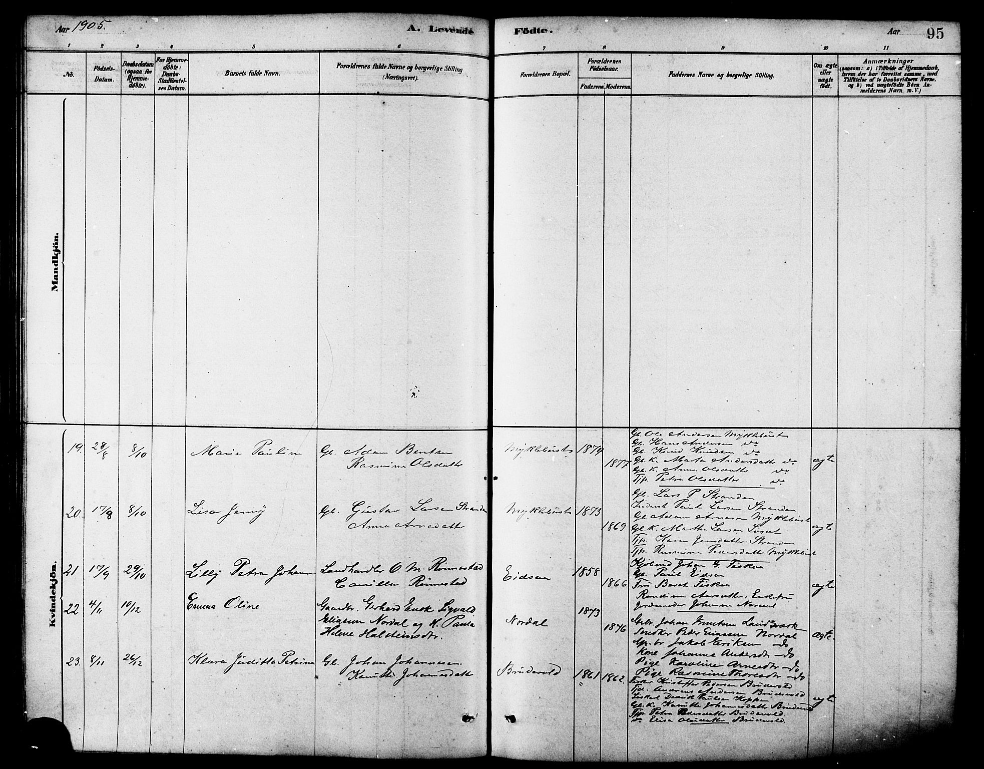 Ministerialprotokoller, klokkerbøker og fødselsregistre - Møre og Romsdal, AV/SAT-A-1454/502/L0027: Klokkerbok nr. 502C01, 1878-1908, s. 95