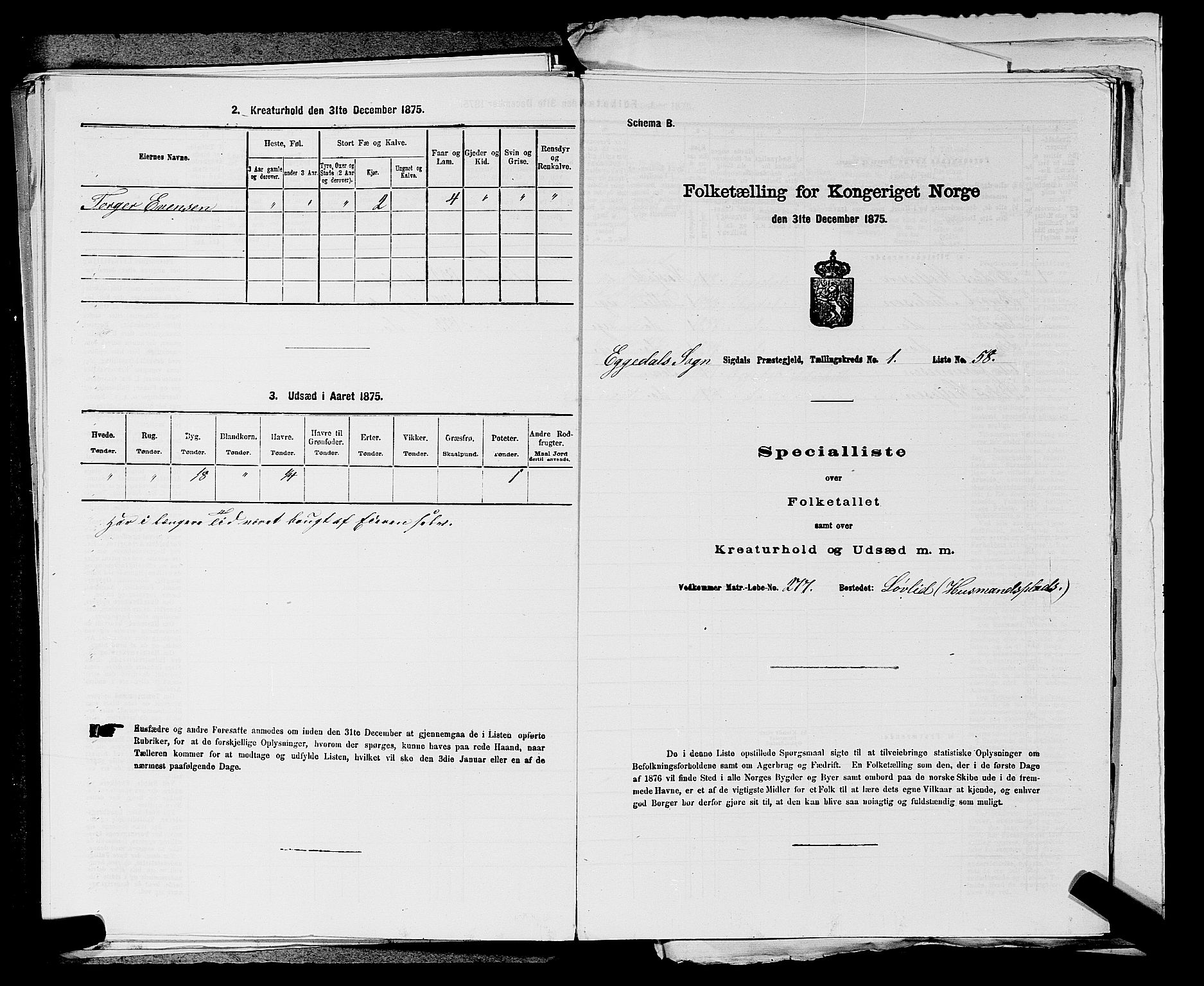 SAKO, Folketelling 1875 for 0621P Sigdal prestegjeld, 1875, s. 1988